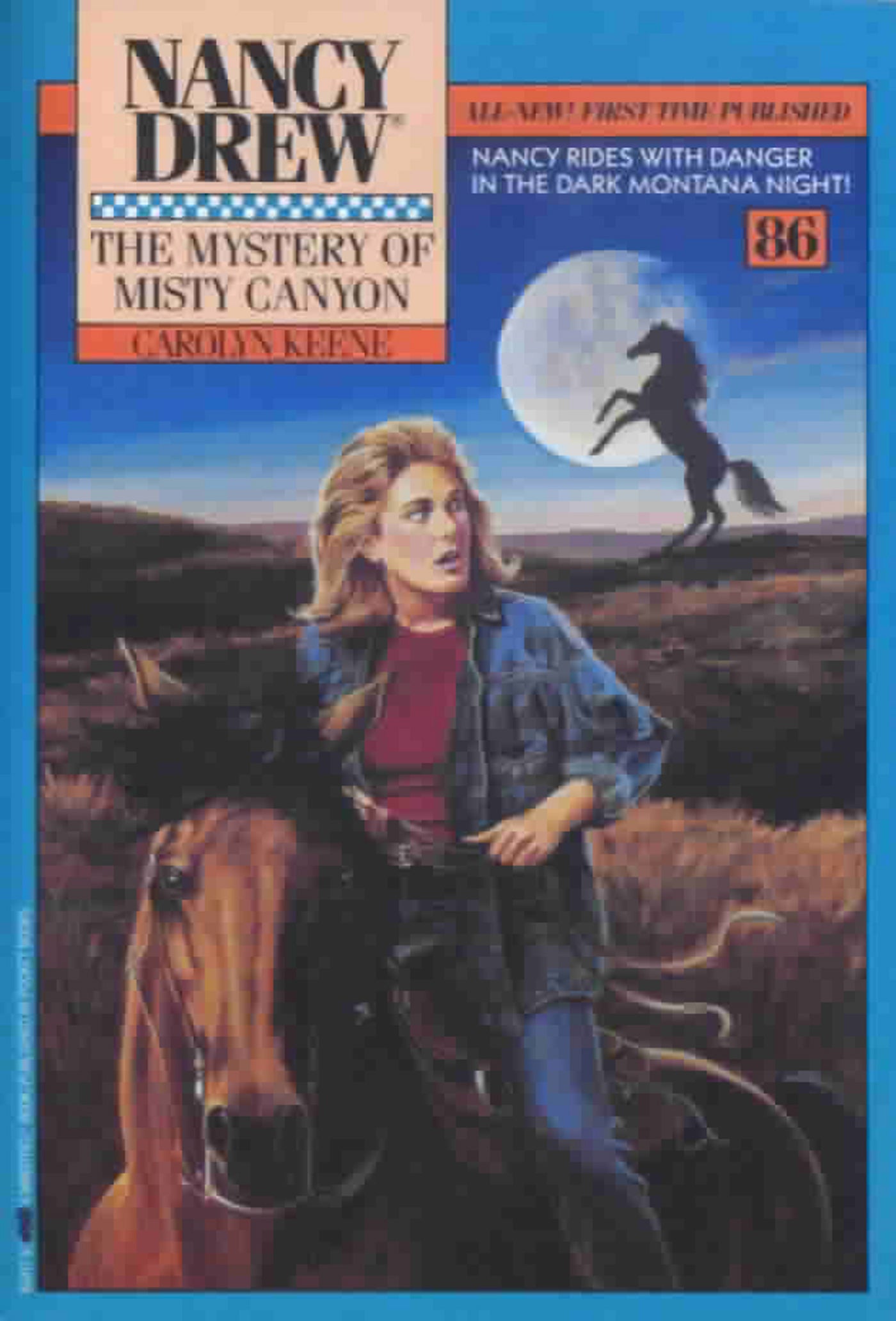 Mystery of Misty Canyon