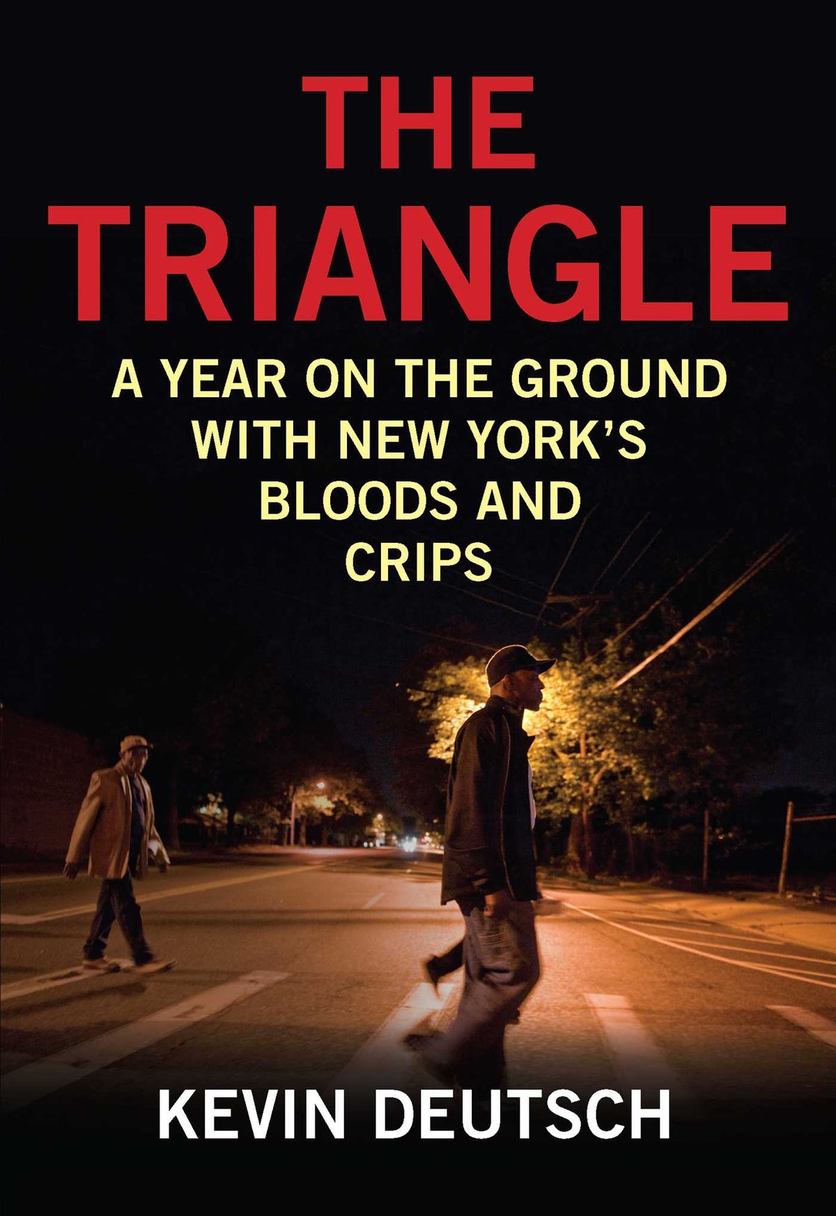 Triangle: A Year on the Ground with New York's Bloods and Crips
