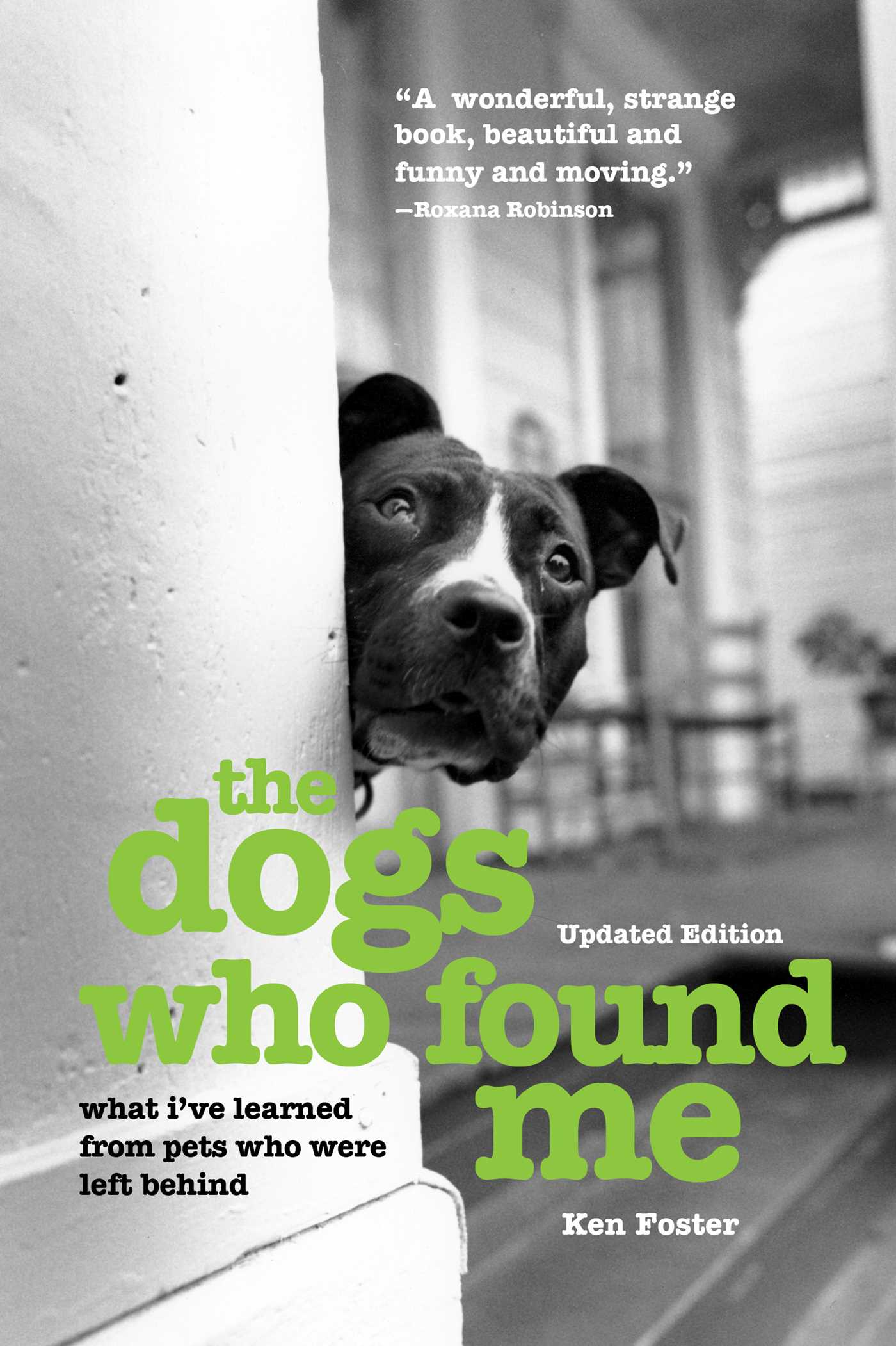Dogs Who Found Me: What I've Learned From Pets Who Were Left Behind