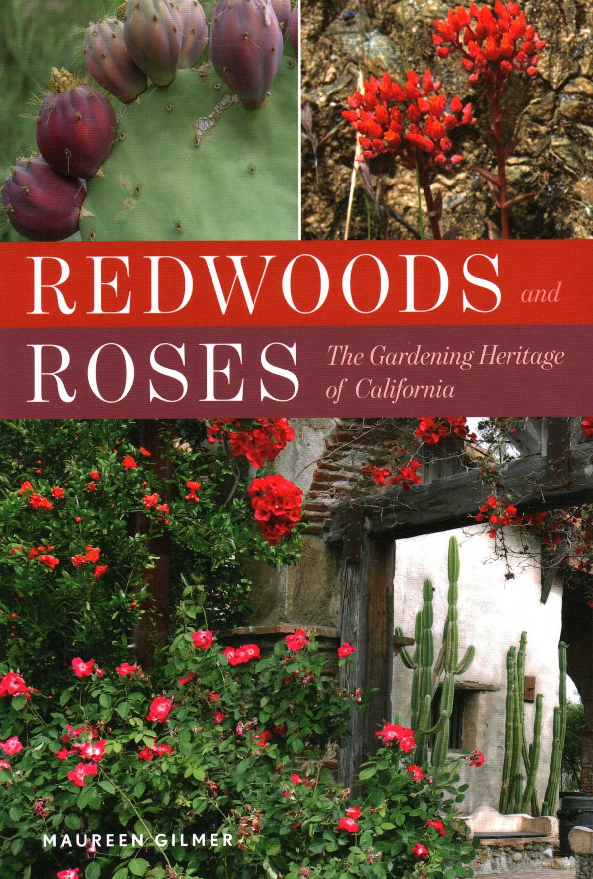 Redwoods and Roses