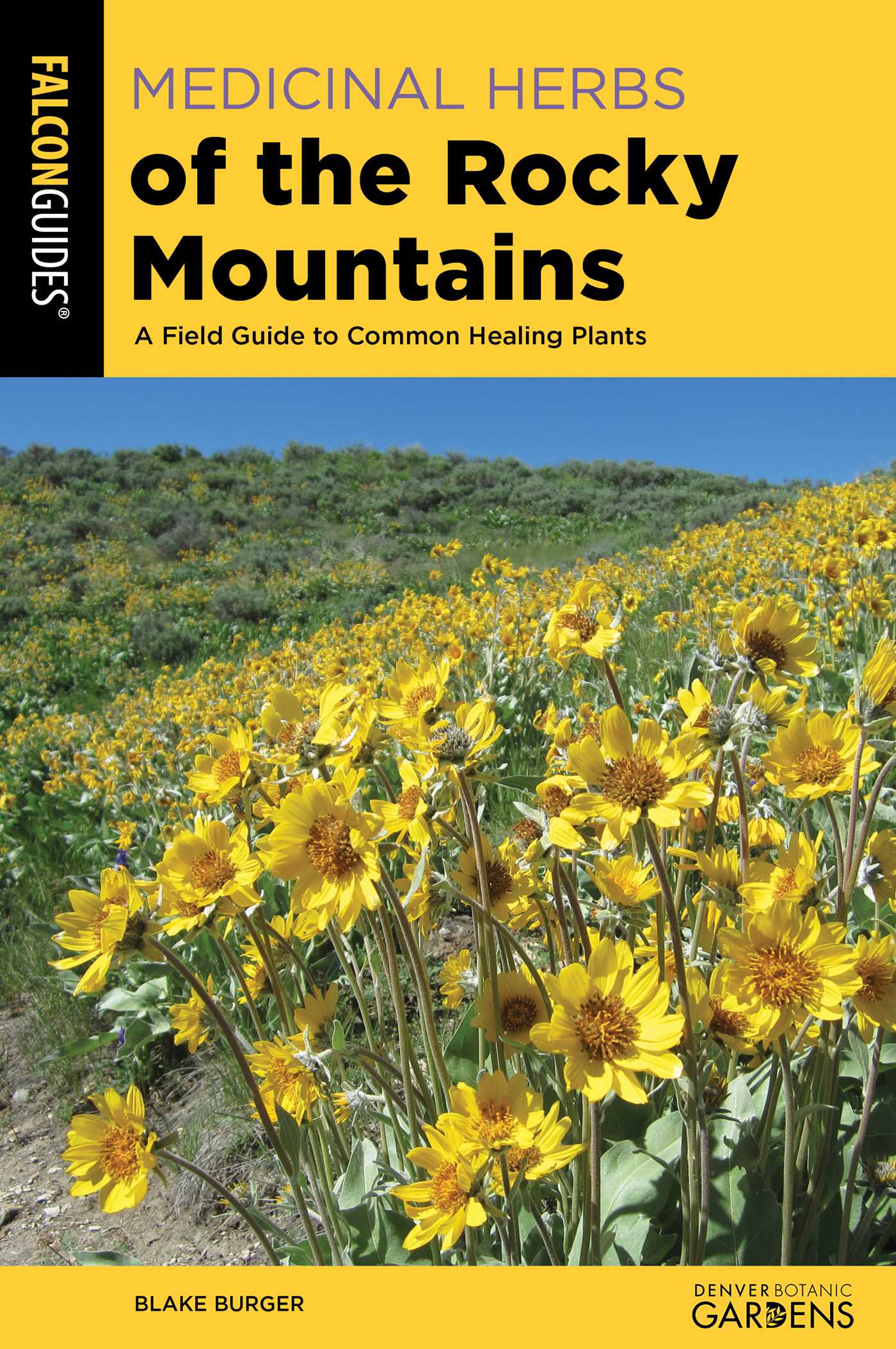 Medicinal Herbs of the Rocky Mountains
