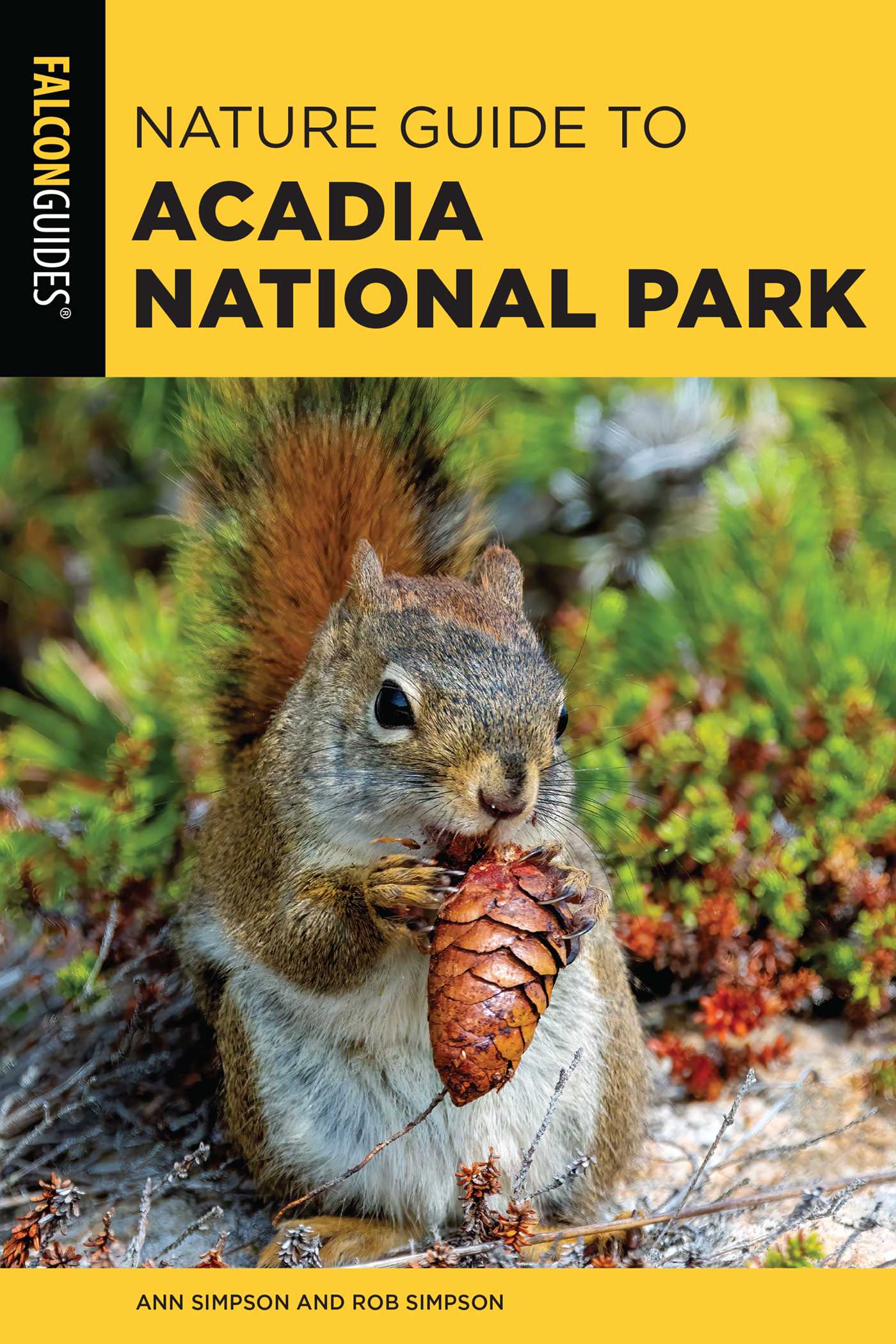 Nature Guide to Acadia National Park