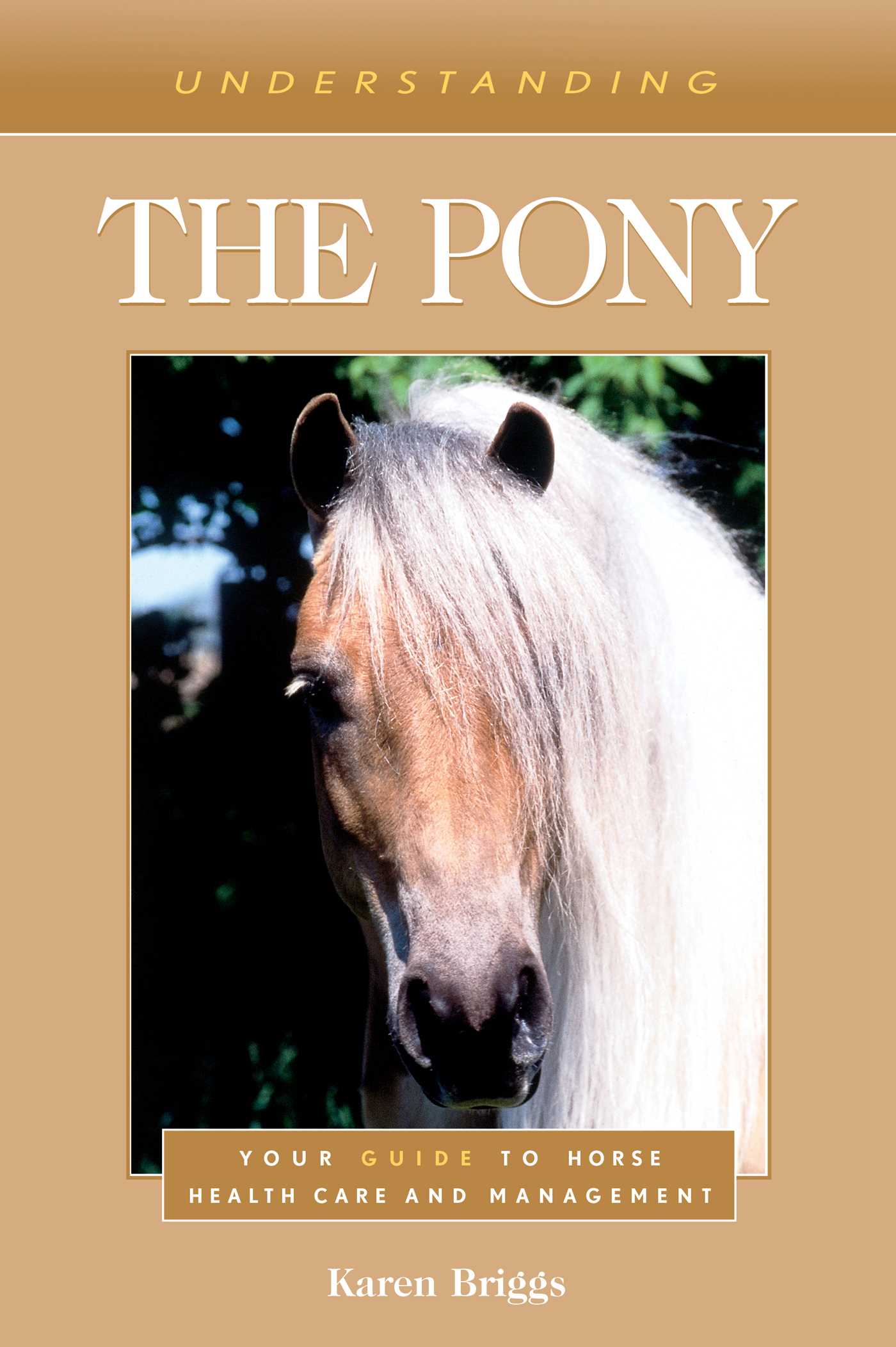 Understanding the Pony