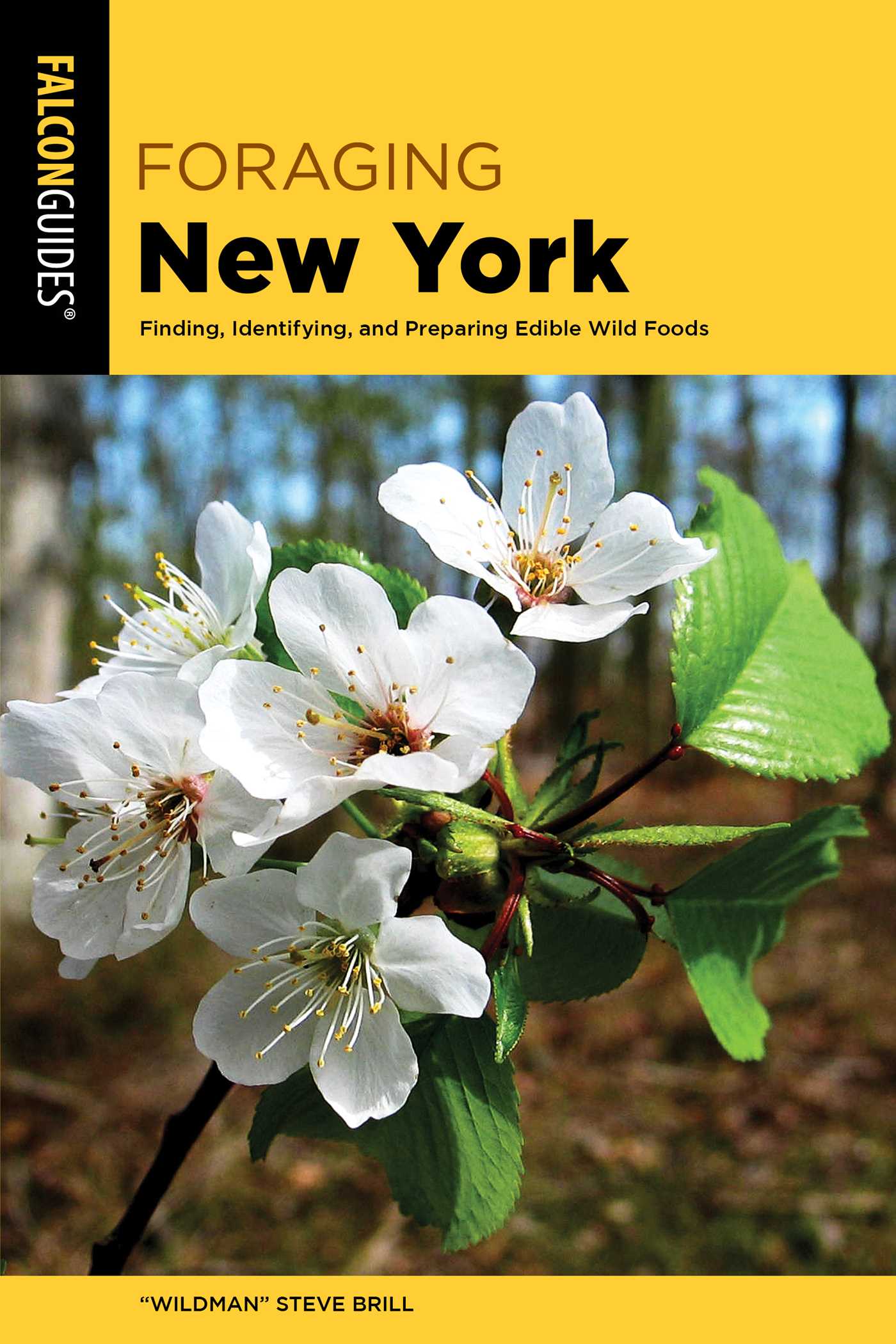 Foraging New York