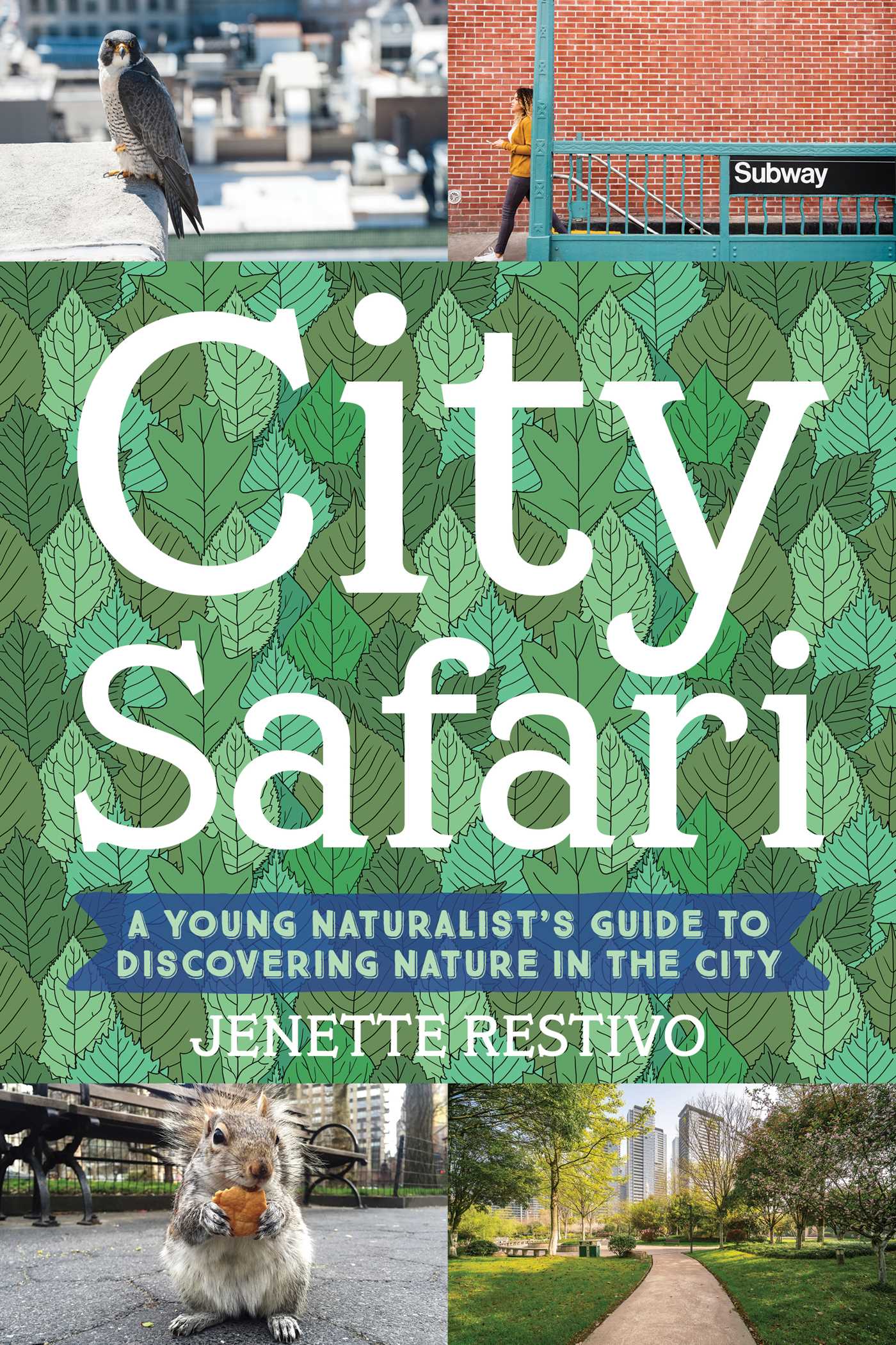 City Safari
