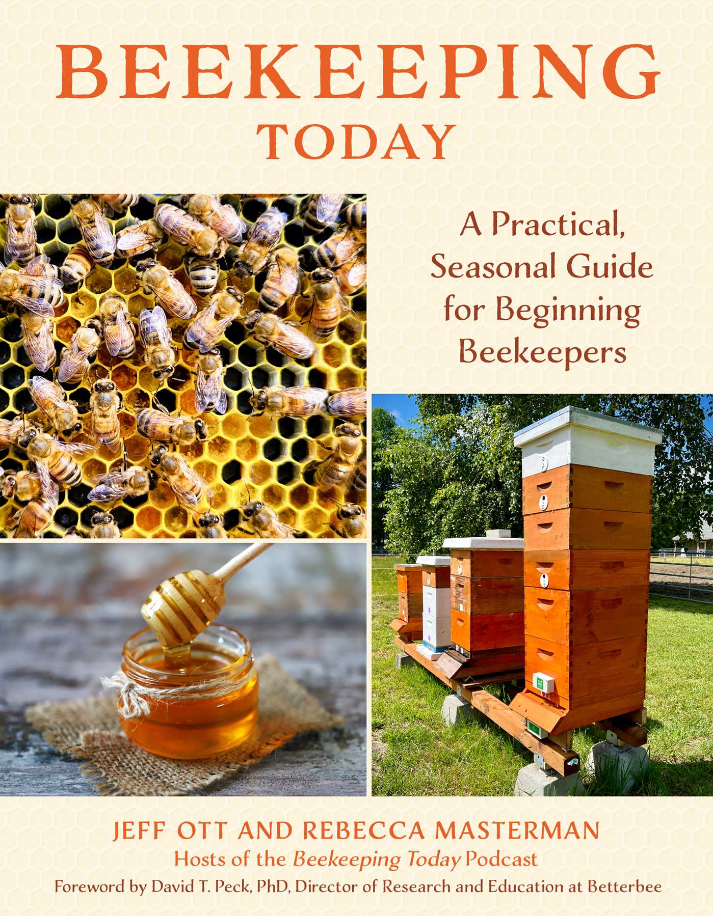 Beekeeping Today