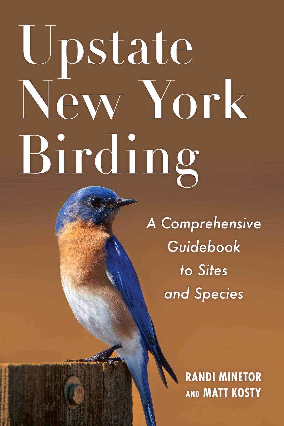 Upstate New York Birding