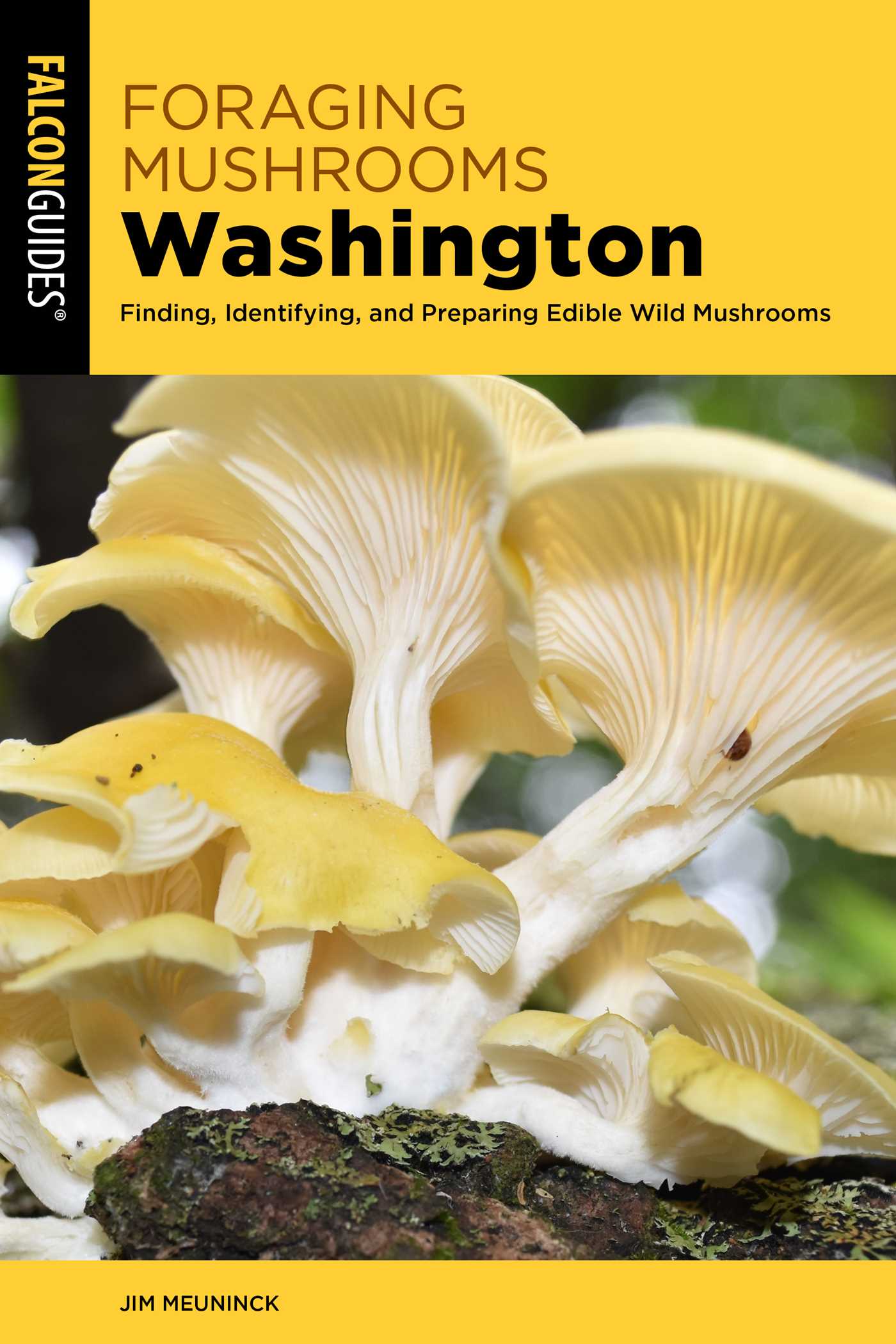 Foraging Mushrooms Washington