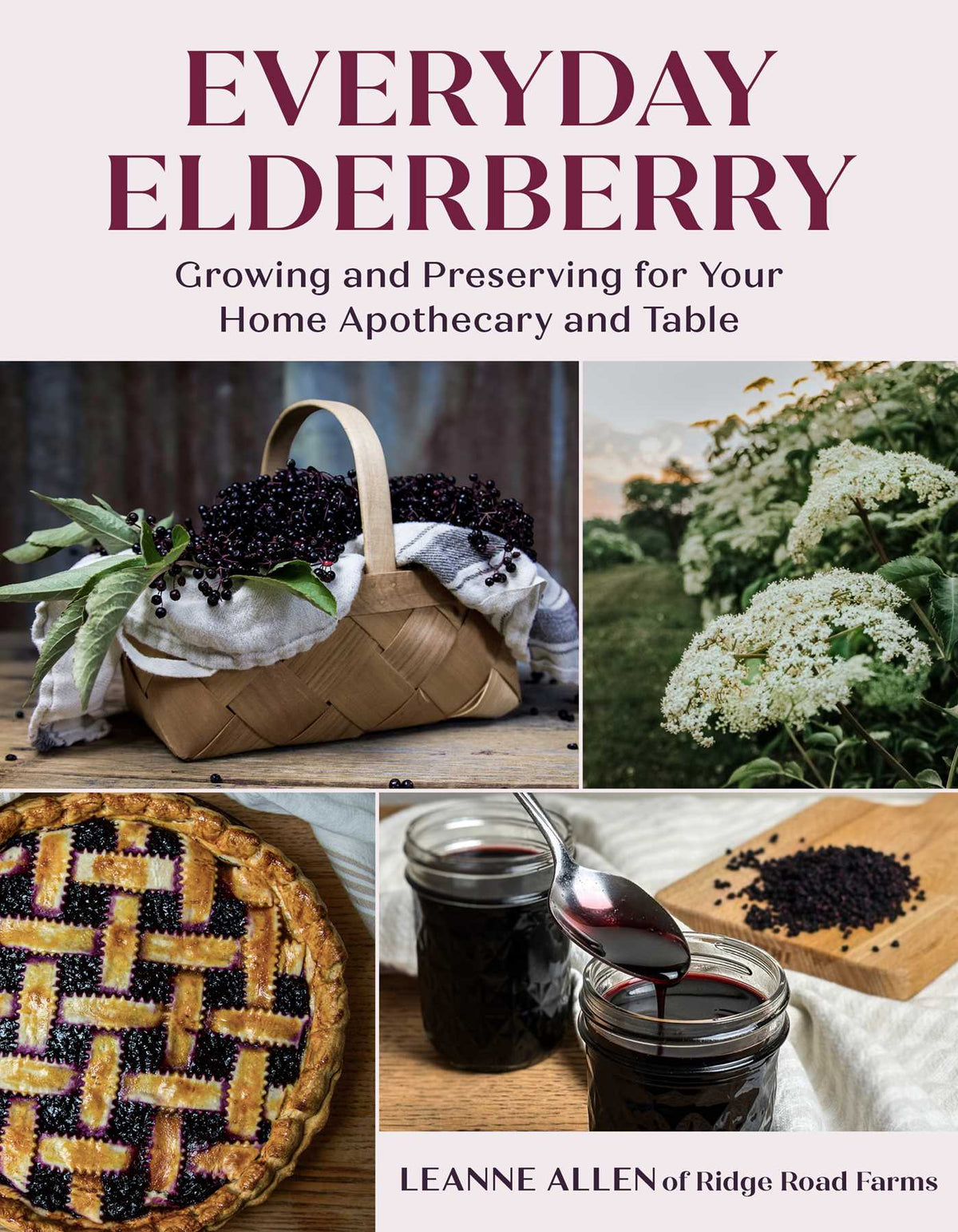 Everyday Elderberry