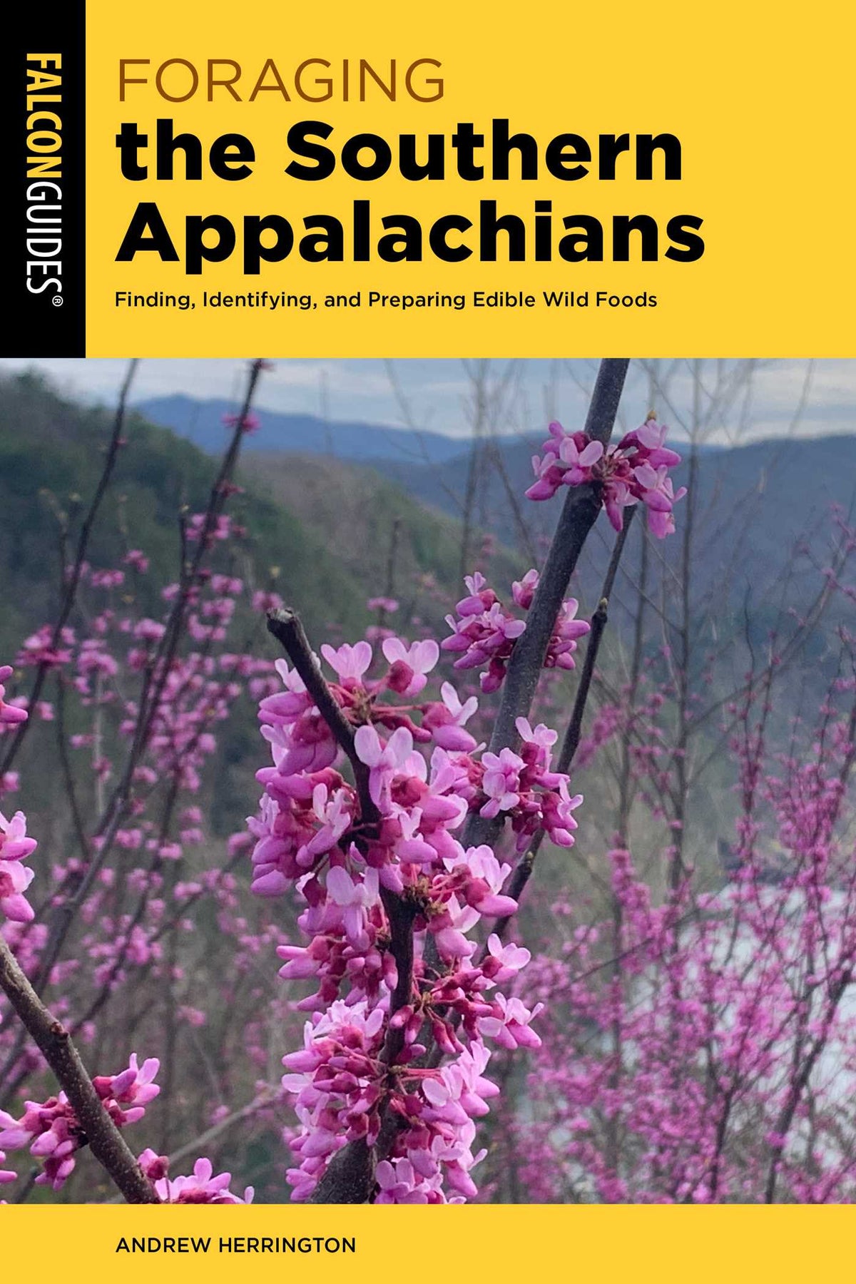 Foraging the Southern Appalachians