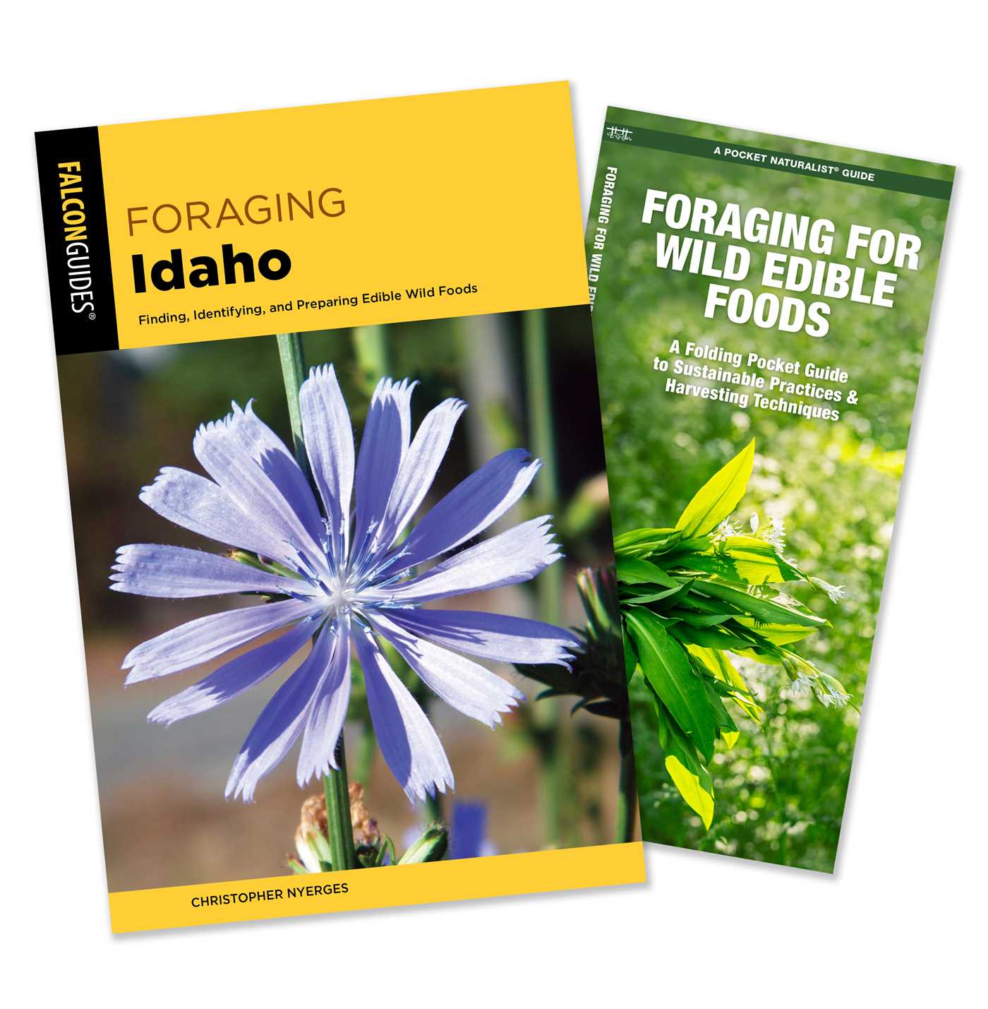 Foraging Idaho Guidebook and Folding Pocket Guide Bundle