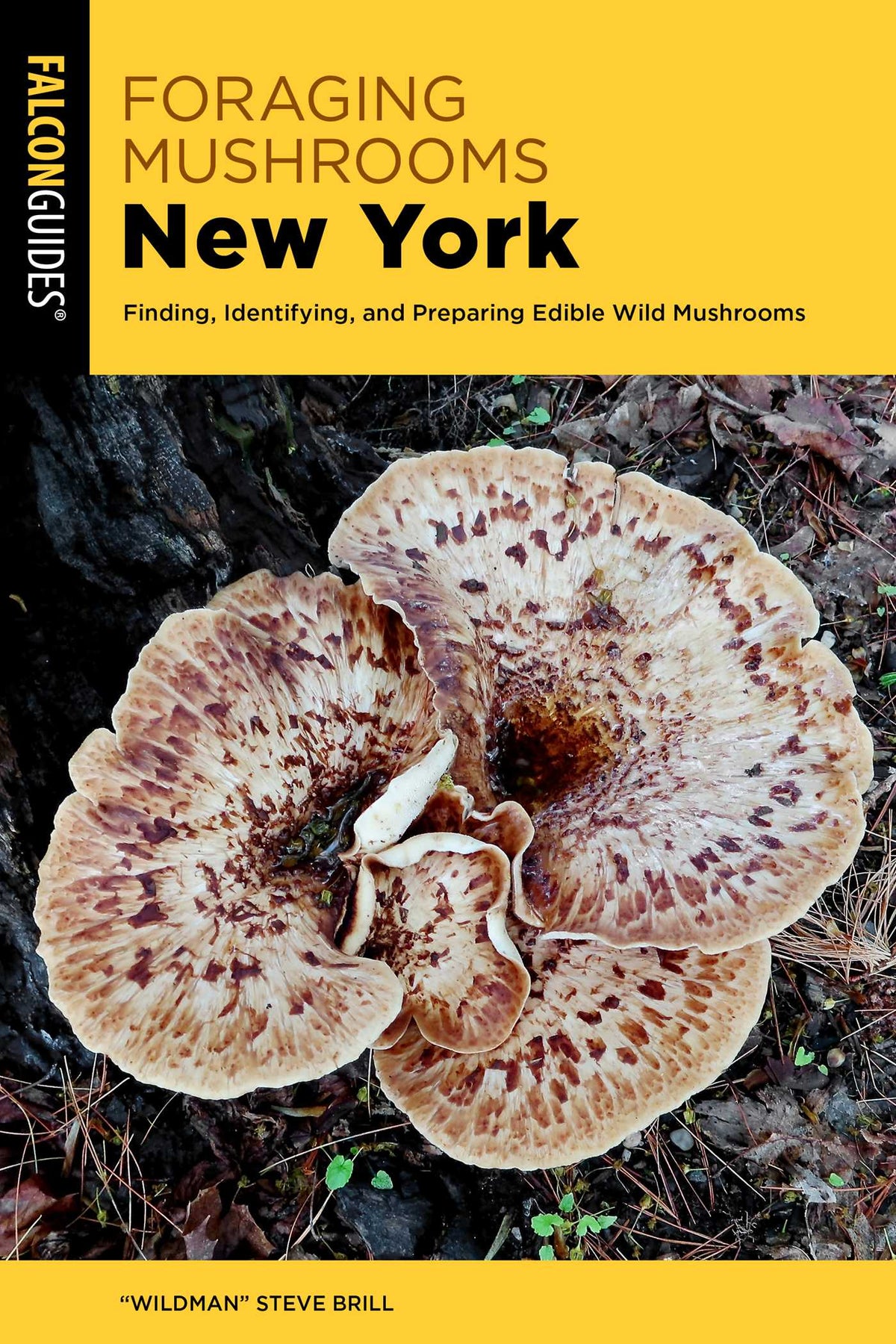 Foraging Mushrooms New York
