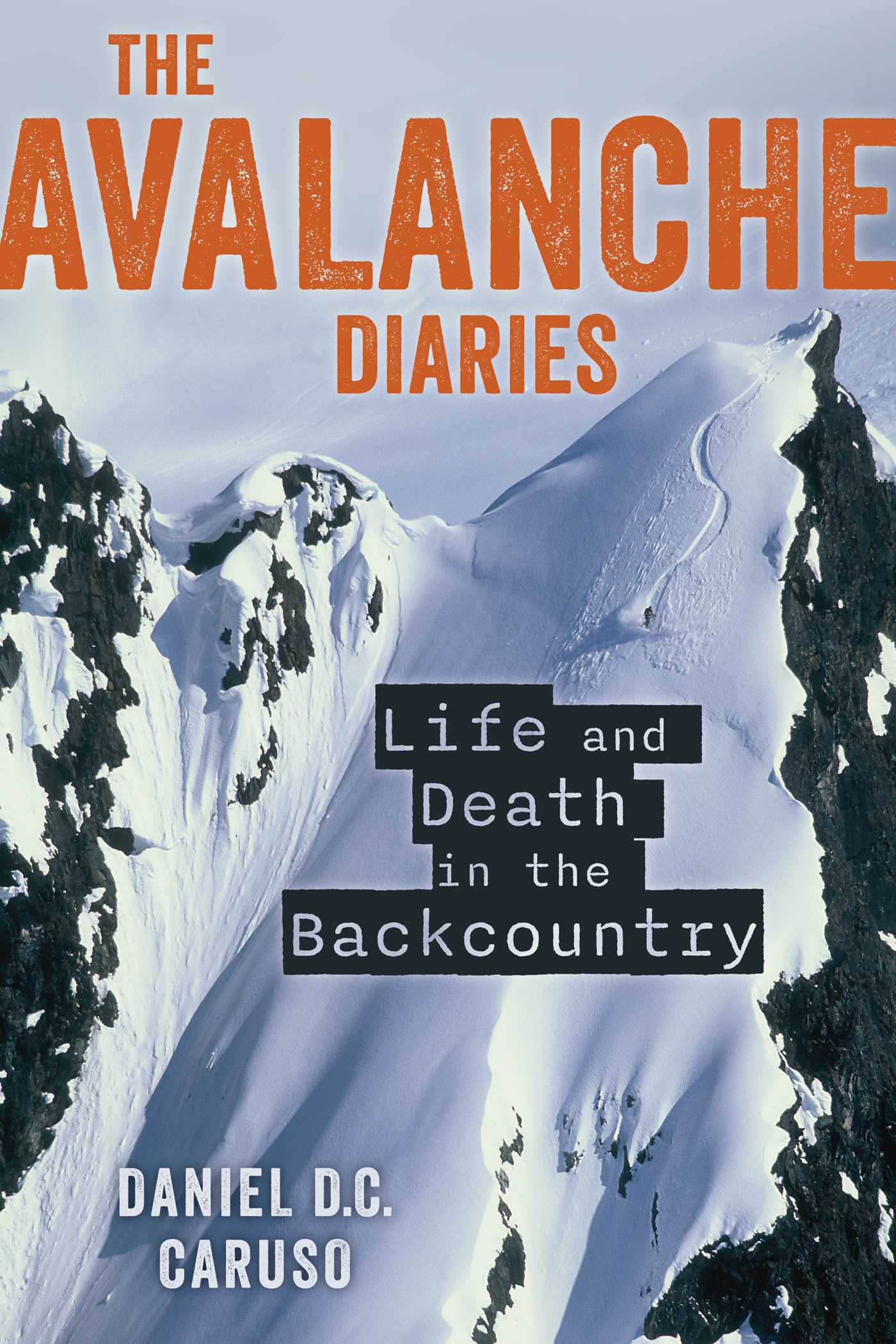 Avalanche Diaries