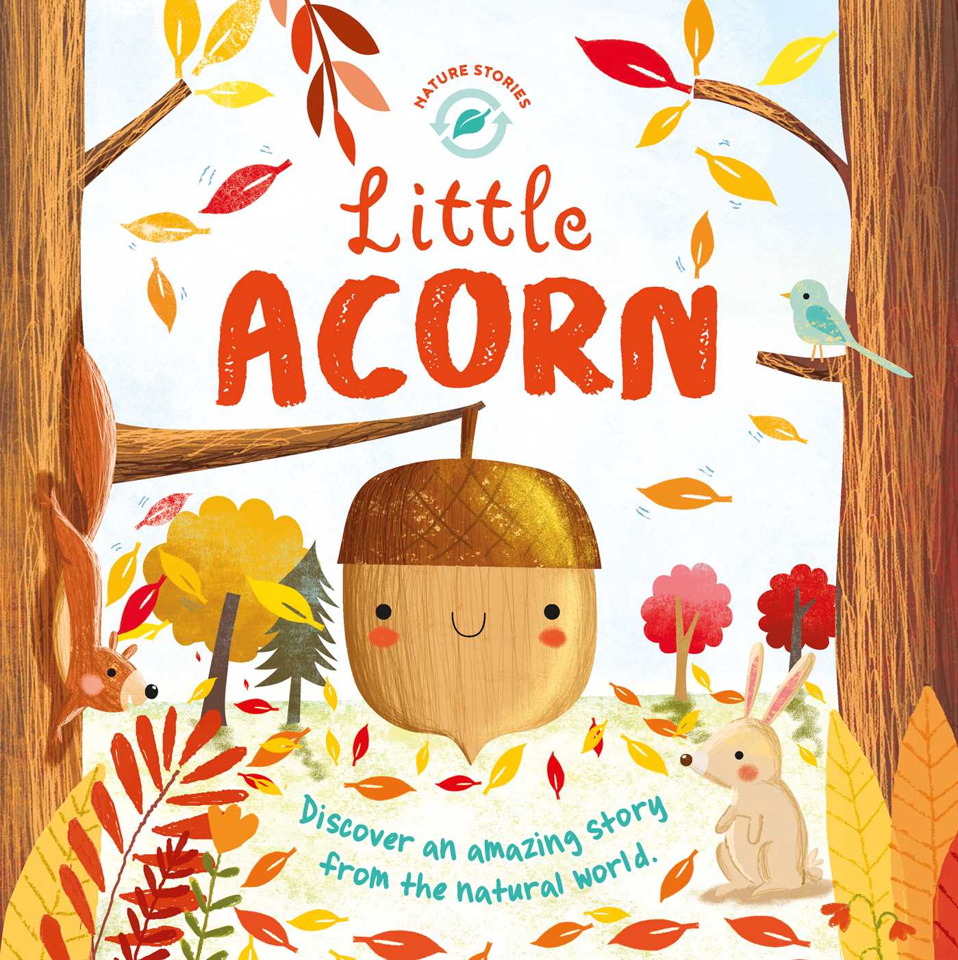 Little Acorn