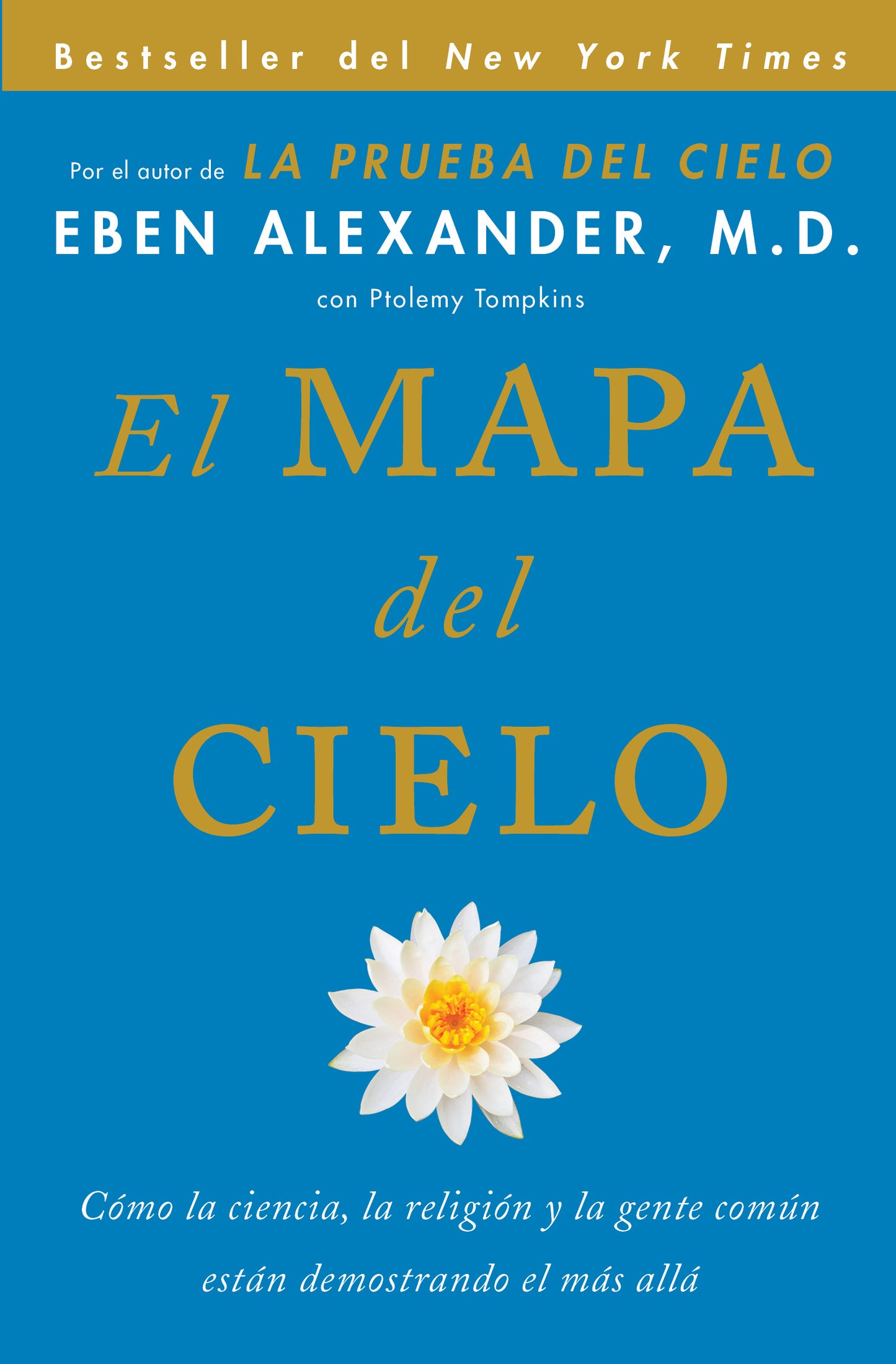 Mapa del cielo: Cómo la ciencia, la religión y la gente común están demostrando el más allá
