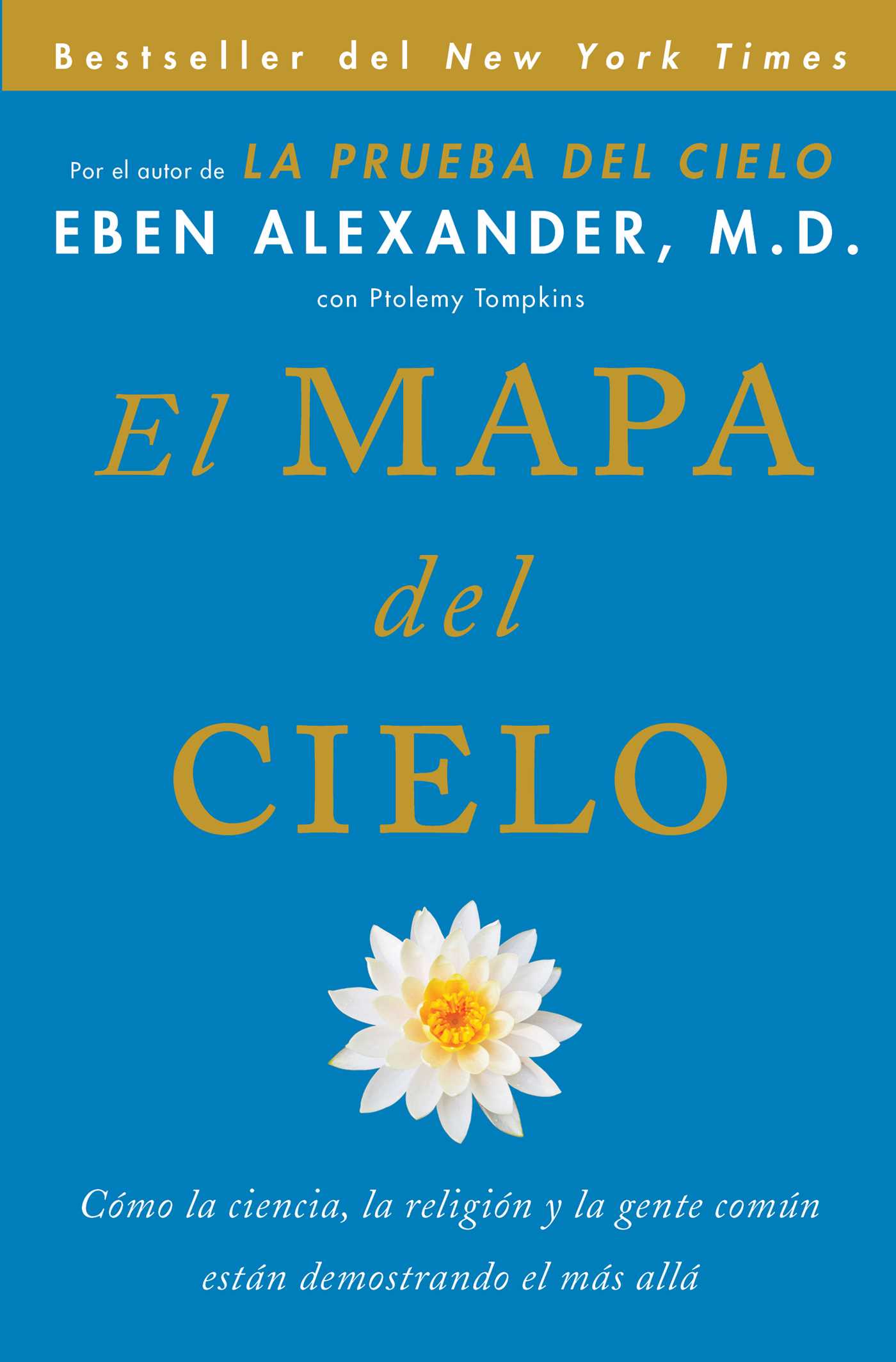 Mapa del cielo: Cómo la ciencia, la religión y la gente común están demostrando el más allá