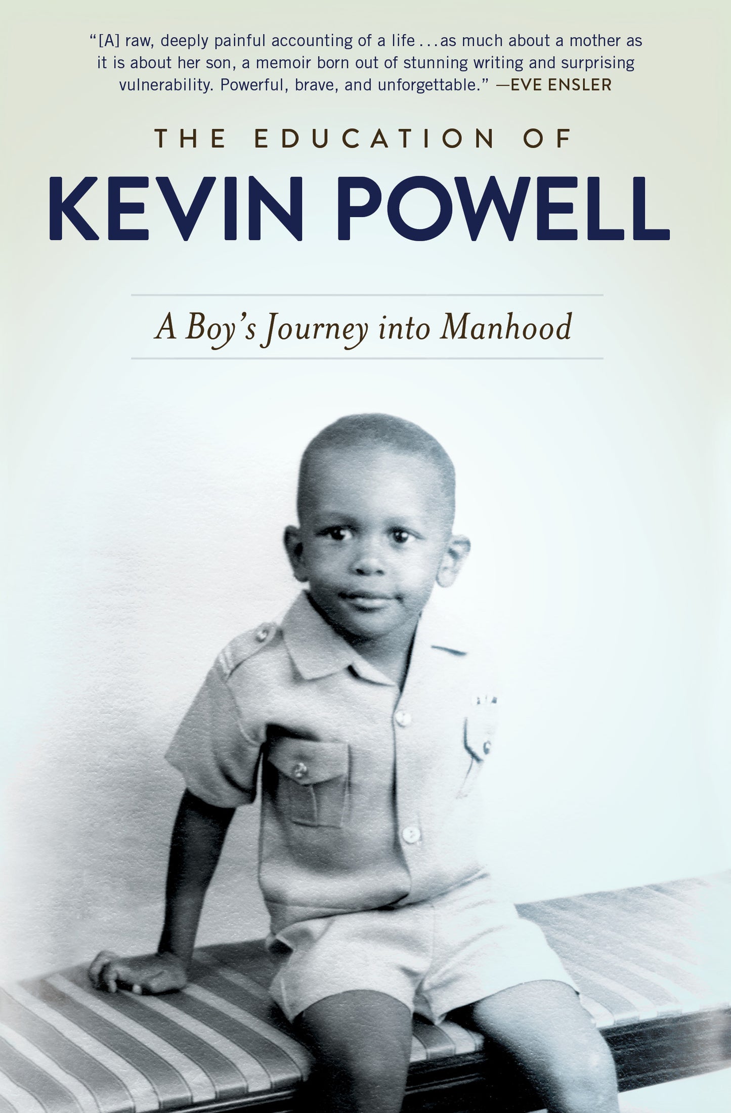 Education of Kevin Powell: A Boy's Journey into Manhood