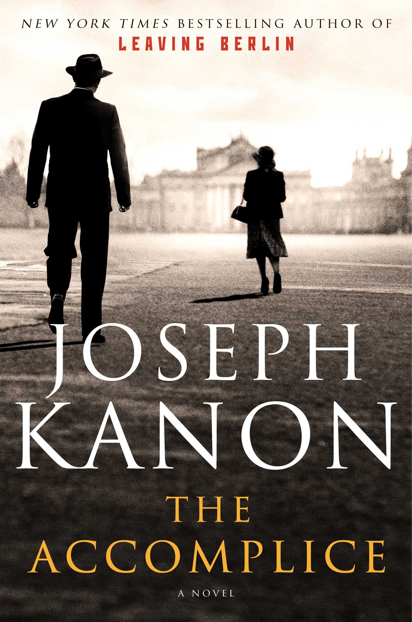 Accomplice: A Novel