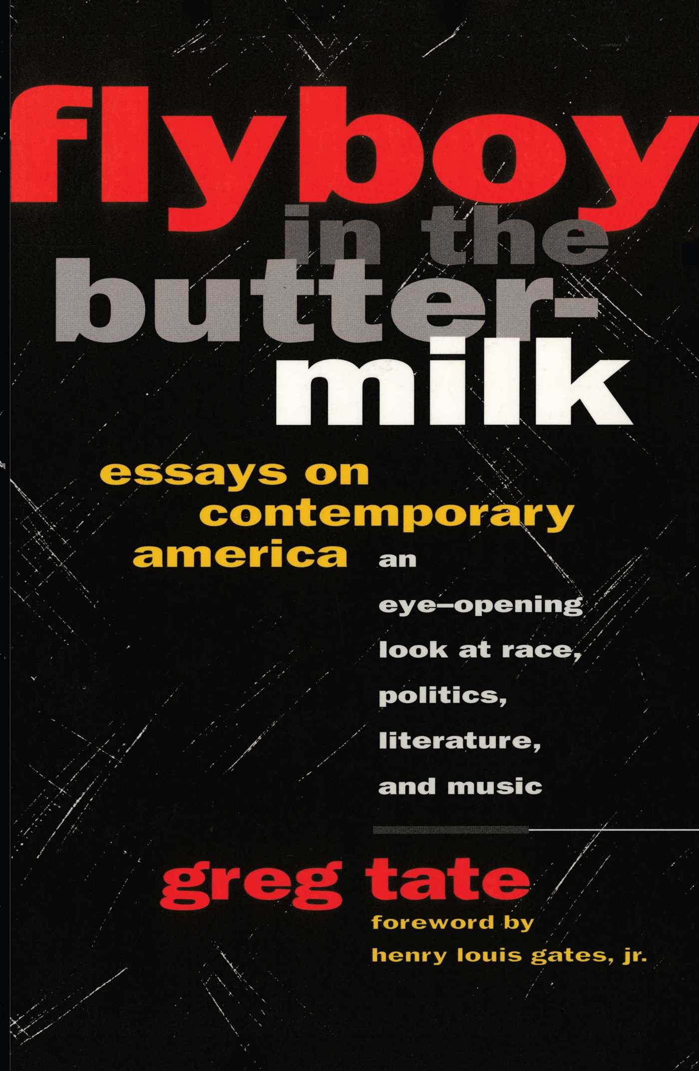 FLYBOY IN THE BUTTERMILK: ESSAYS ON CONTEMPORARY AMERICA