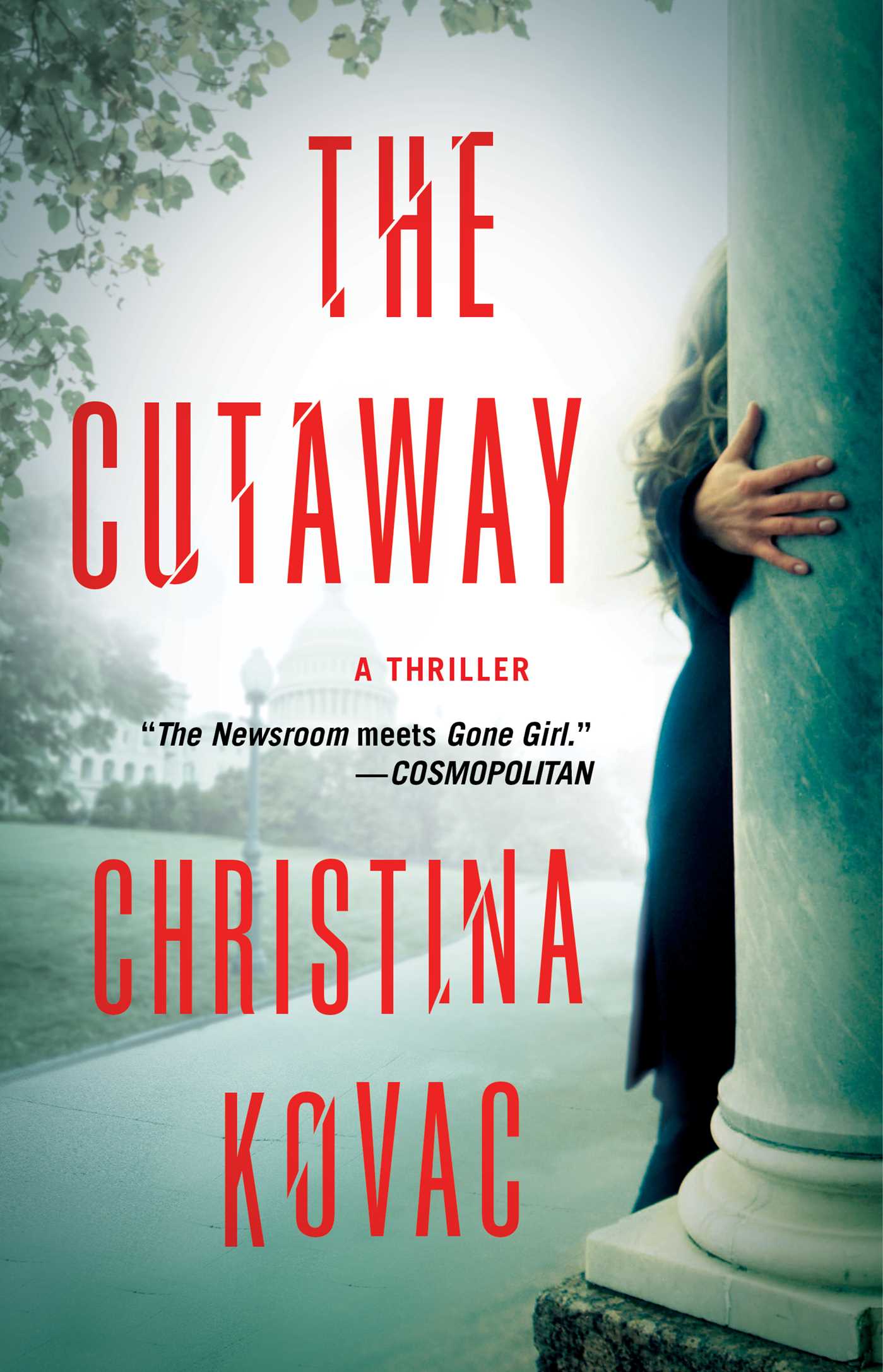 Cutaway: A Thriller