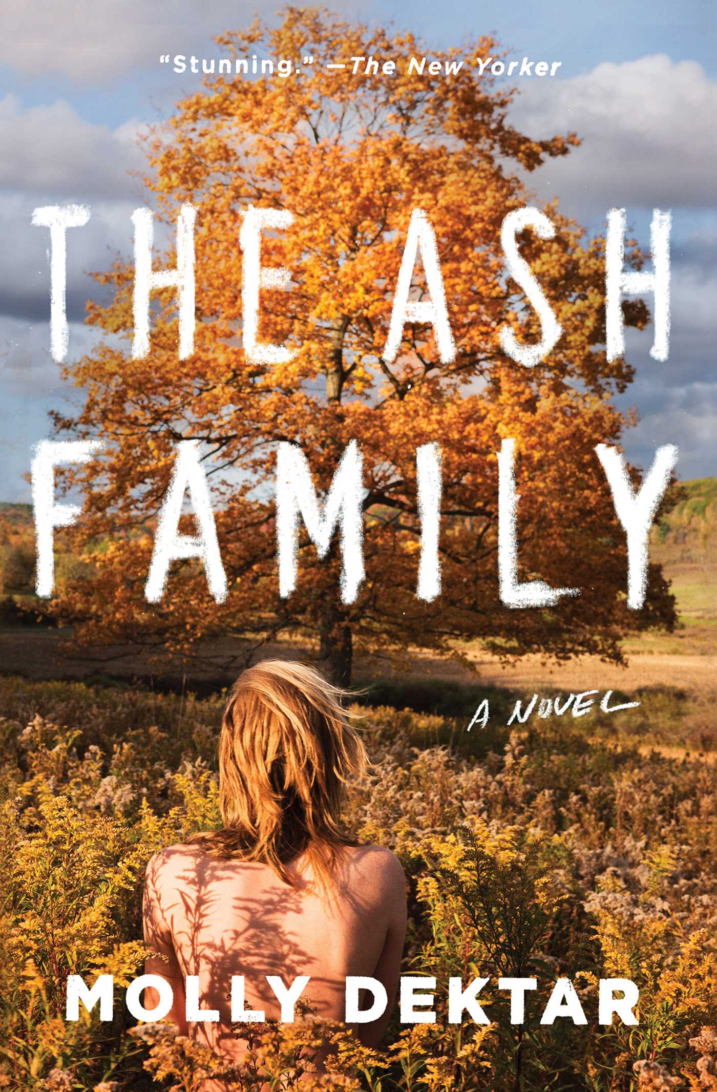 Ash Family: A Novel