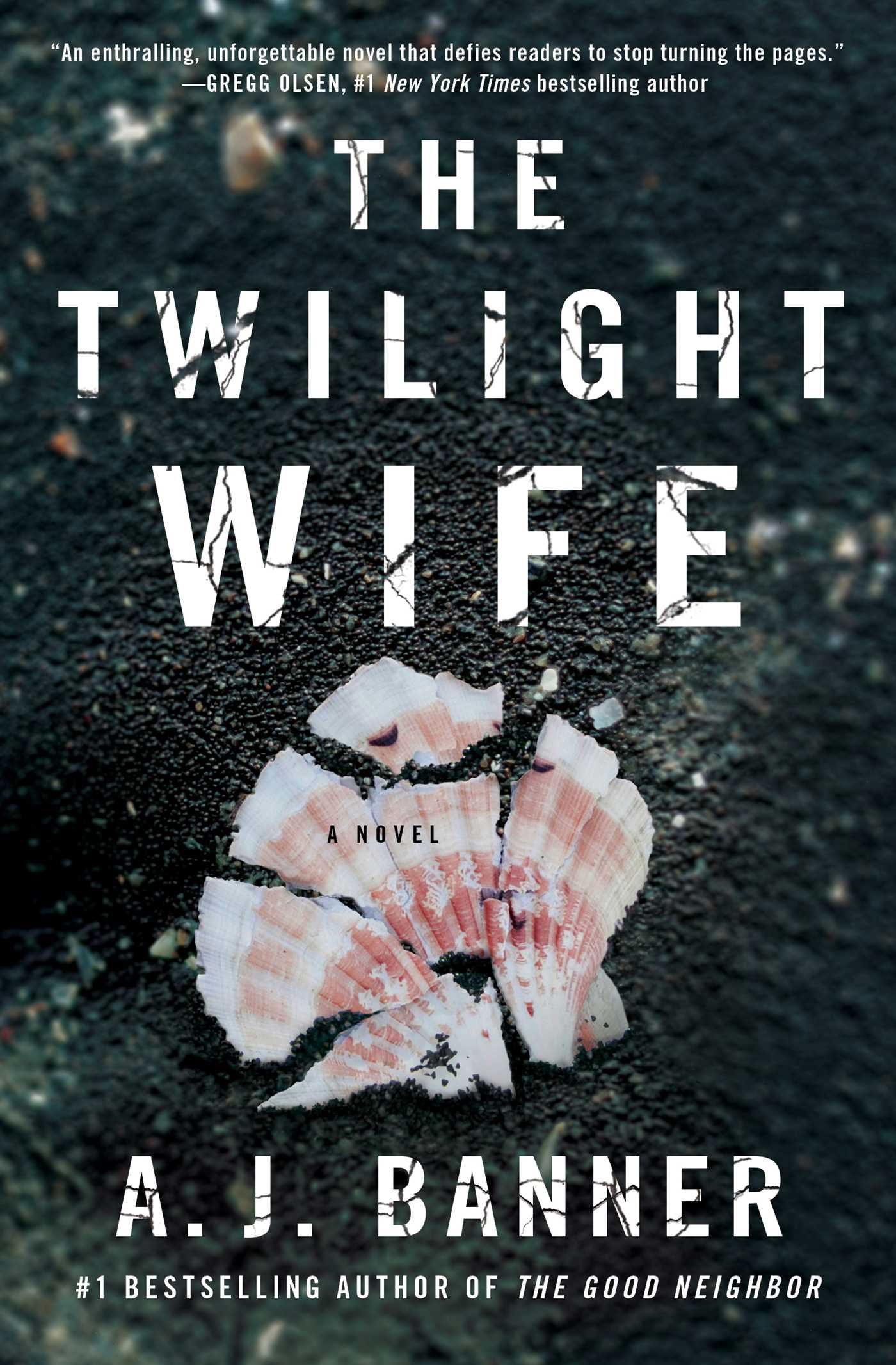 Twilight Wife: A Psychological Thriller by the Author of The Good Neighbor