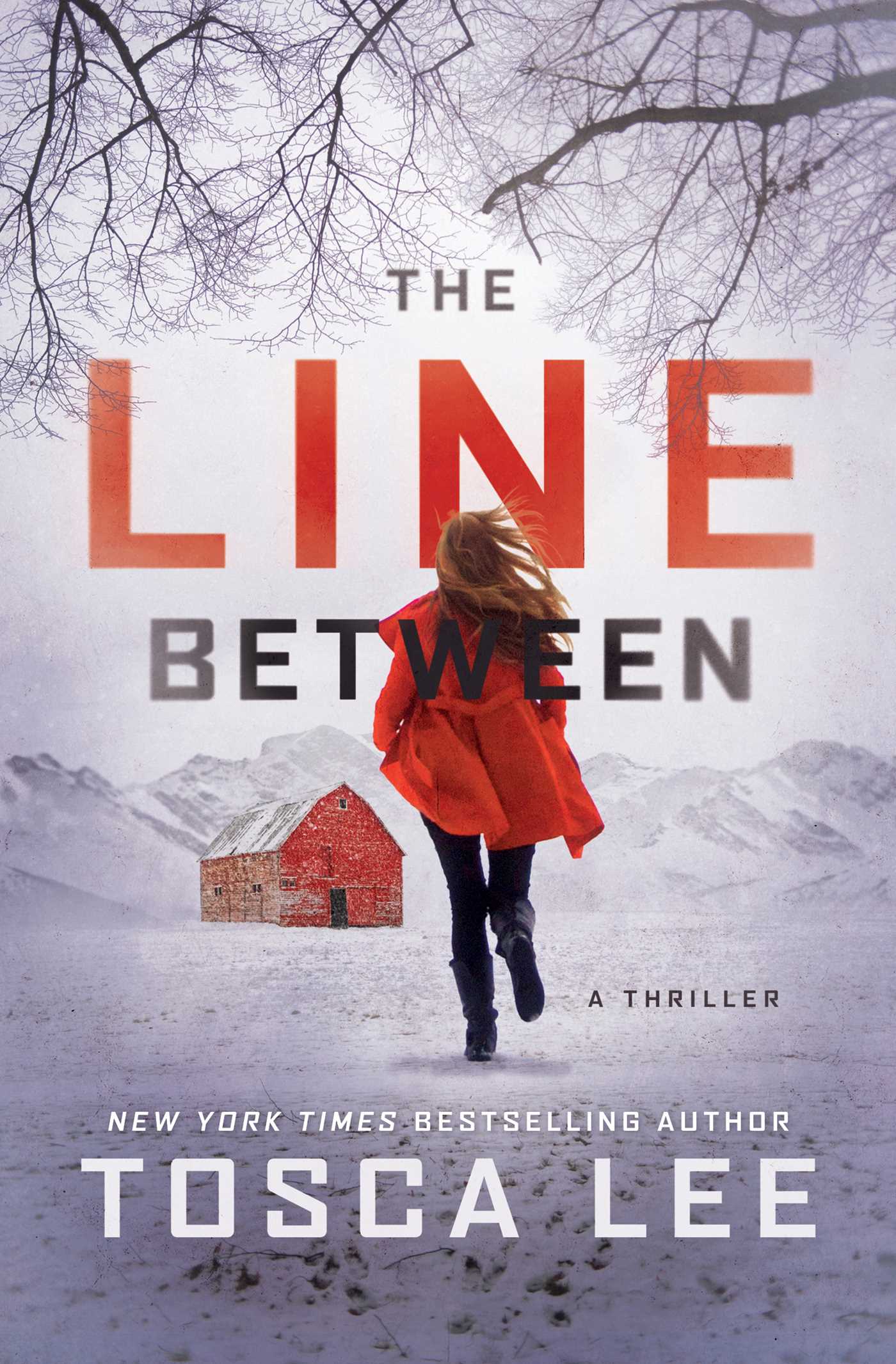Line Between: A Thriller
