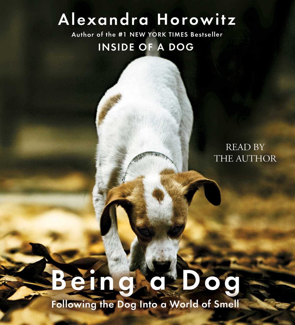 Being a Dog