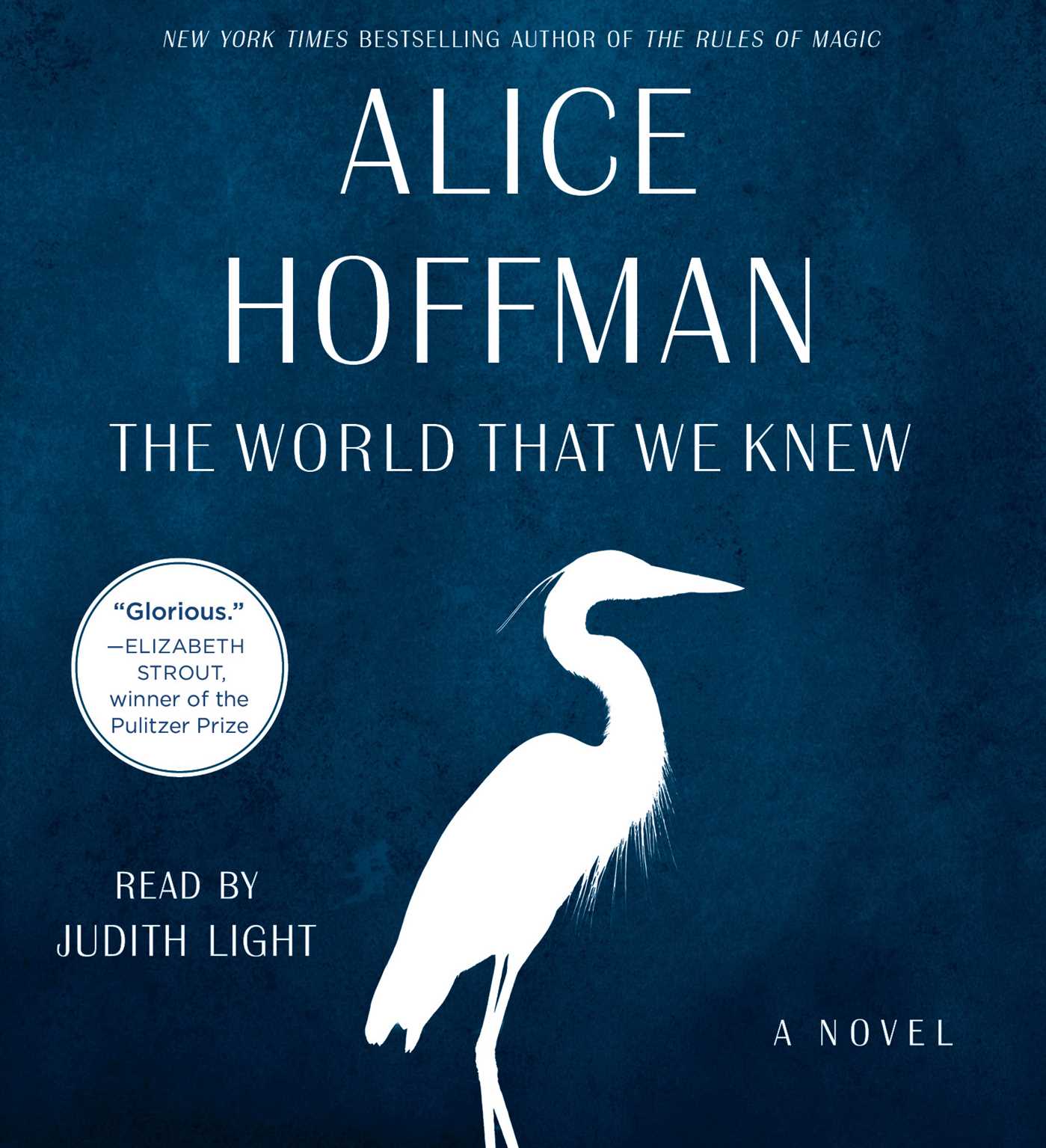World That We Knew: A Novel