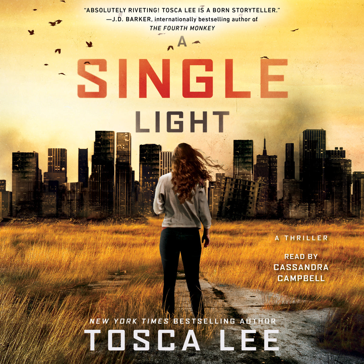 Single Light: A Novel