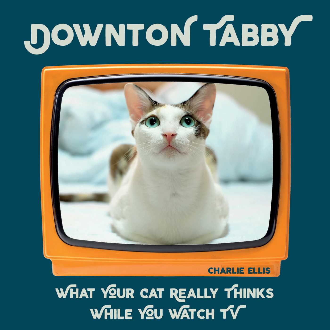 Downton Tabby