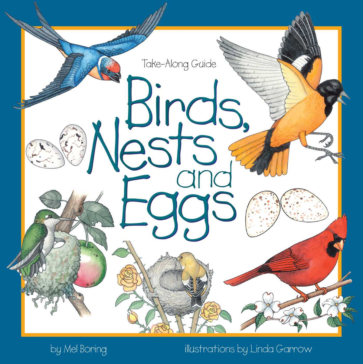 Birds, Nests & Eggs