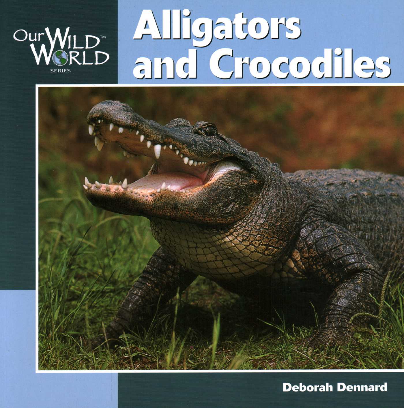 Alligators & Crocodiles