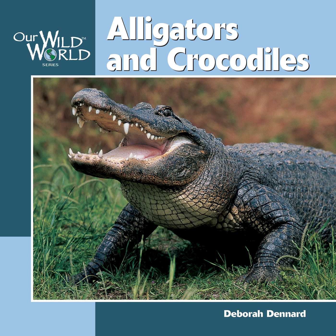 Alligators & Crocodiles