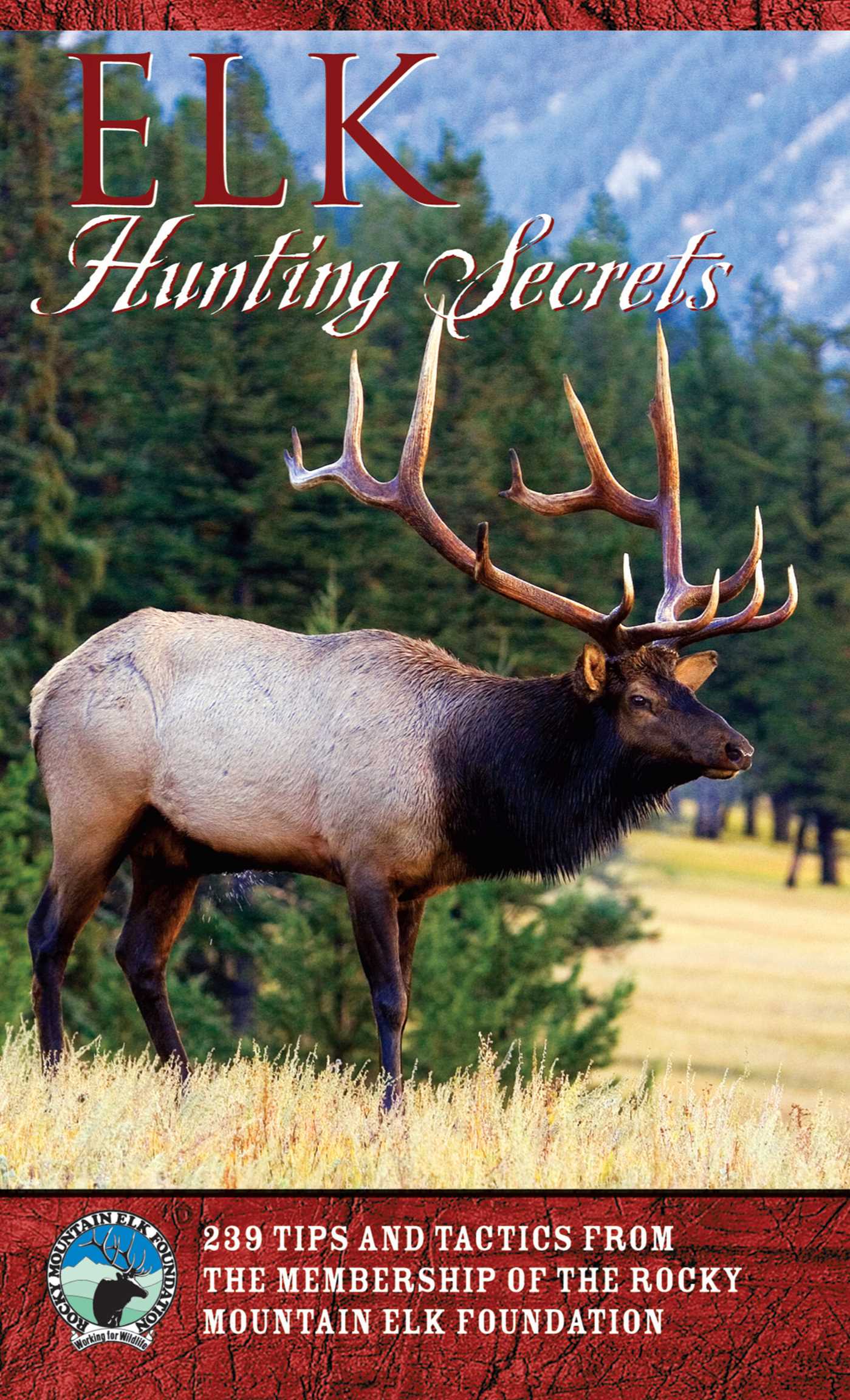 Elk Hunting Secrets