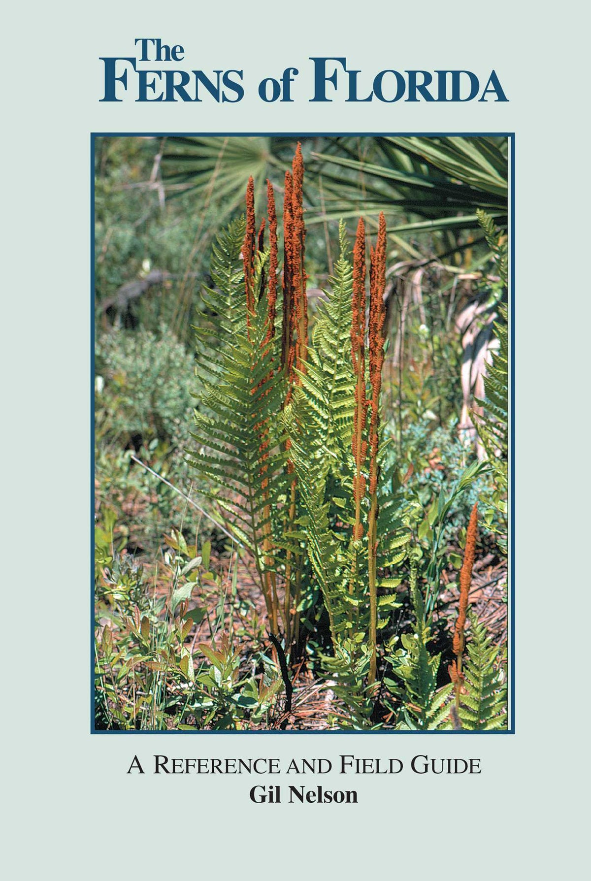Ferns of Florida