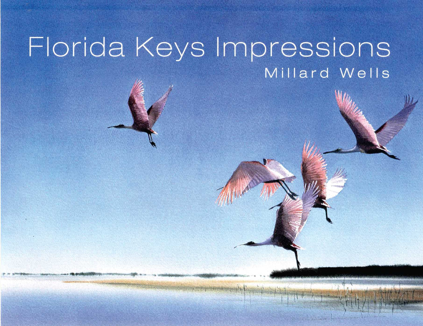 Florida Keys Impressions