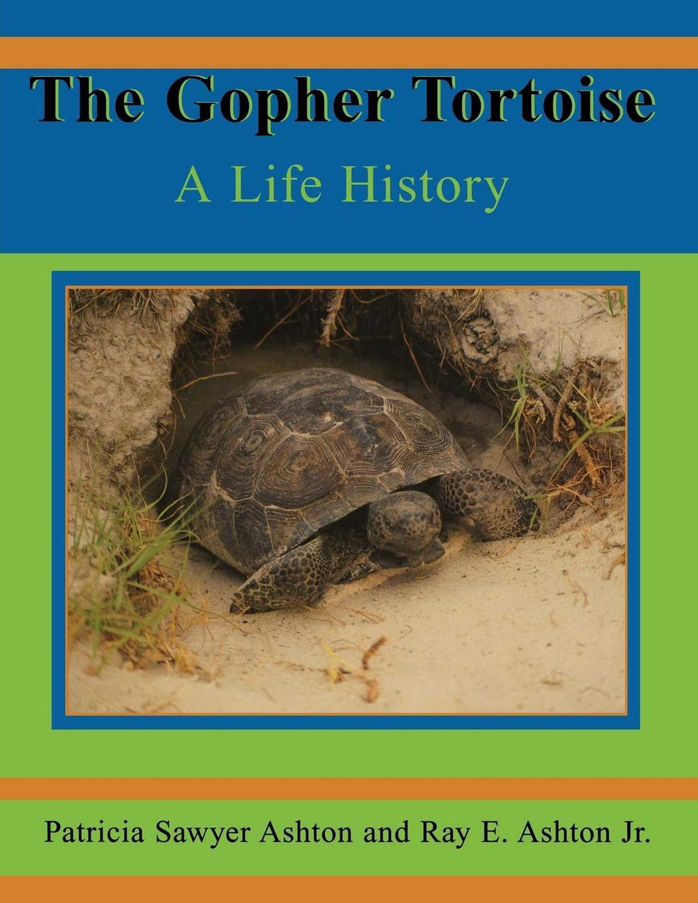 Gopher Tortoise