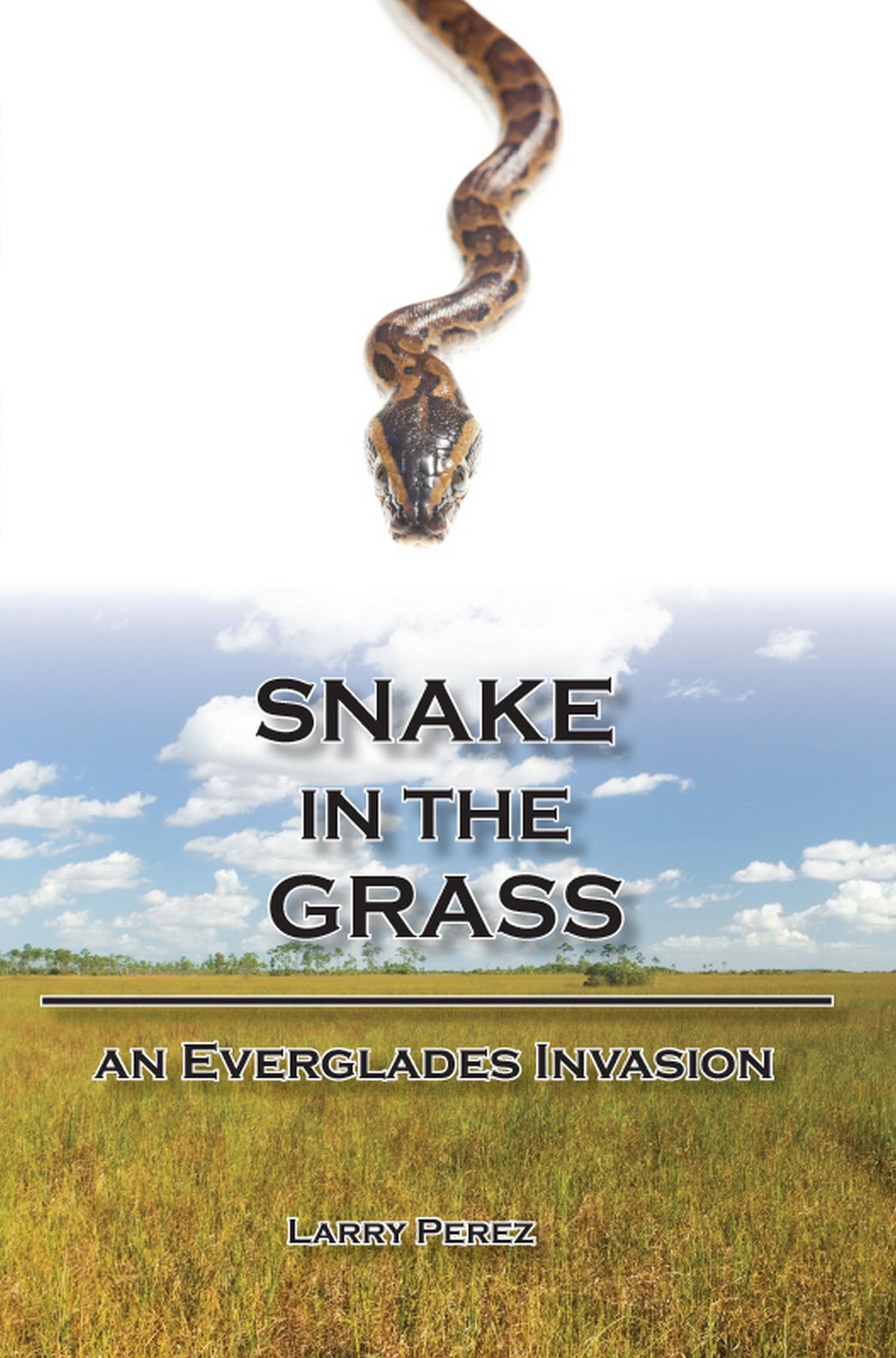 Snake in the Grass