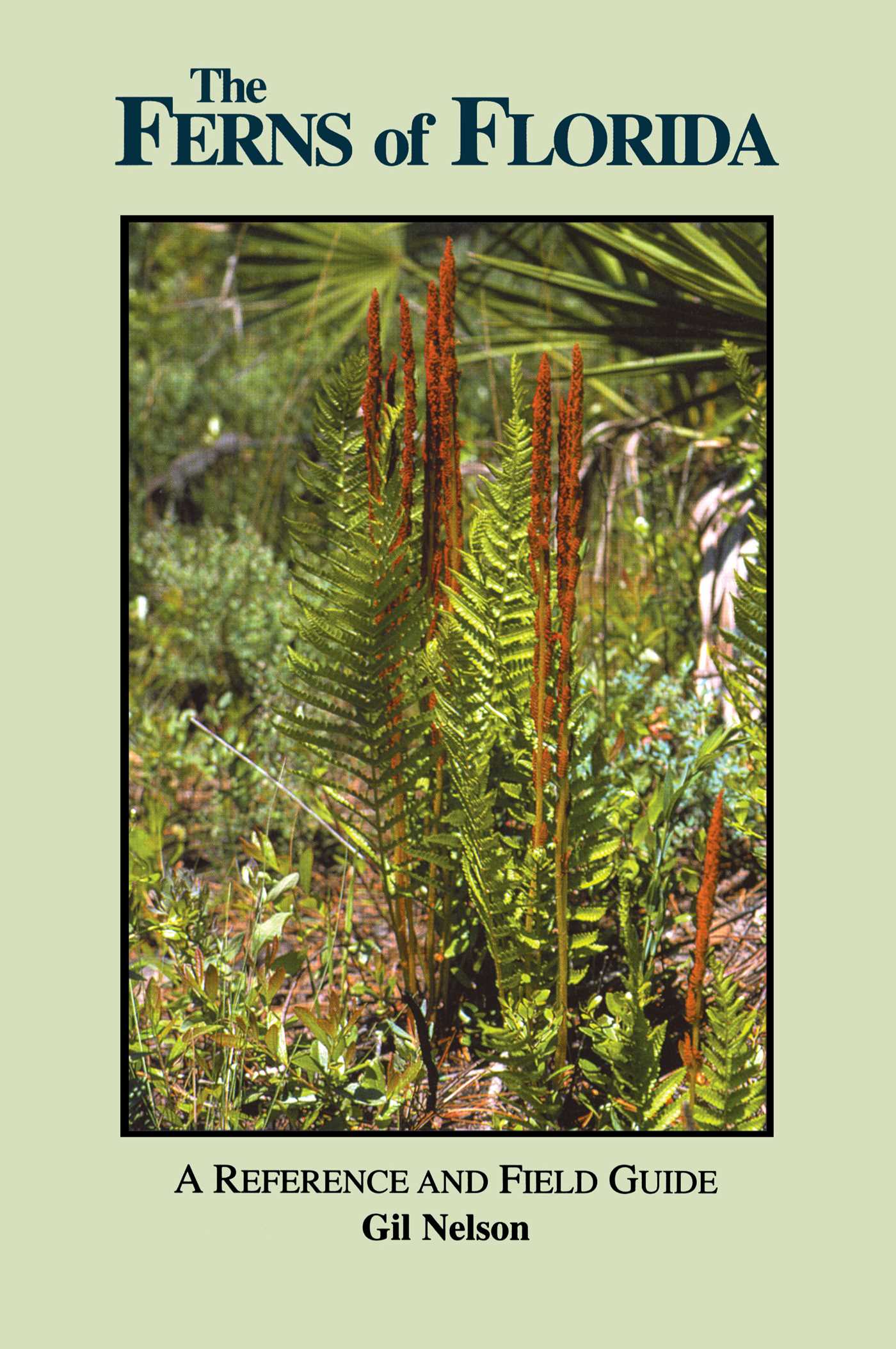 Ferns of Florida