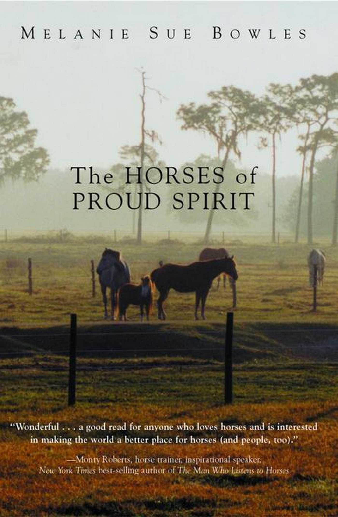 Horses of Proud Spirit