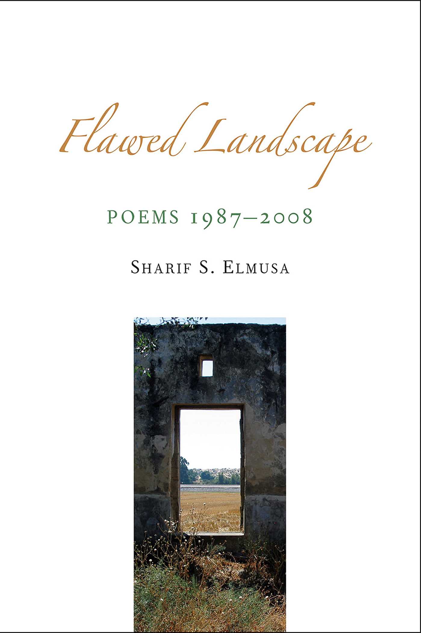Flawed Landscape