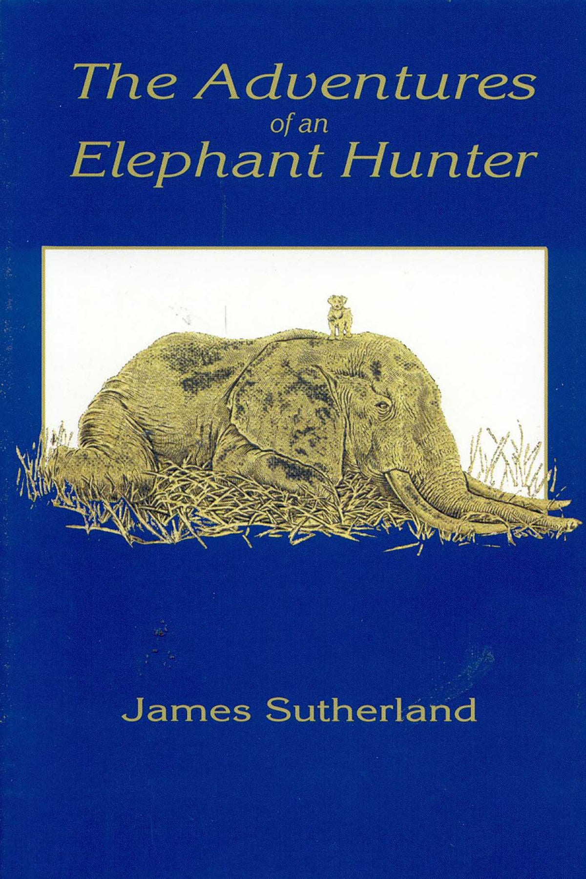 Adventures of an Elephant Hunter