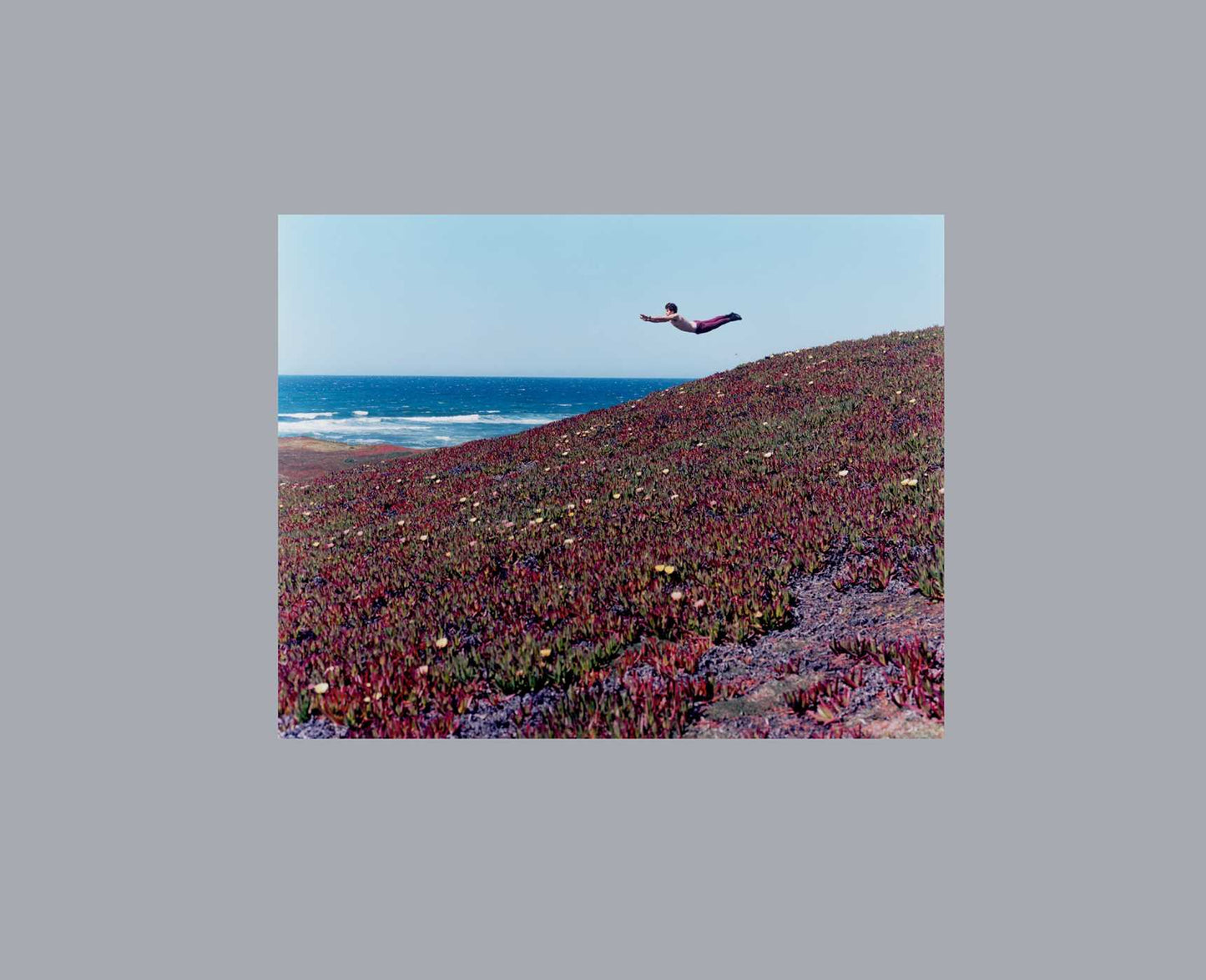 Flying Pictures