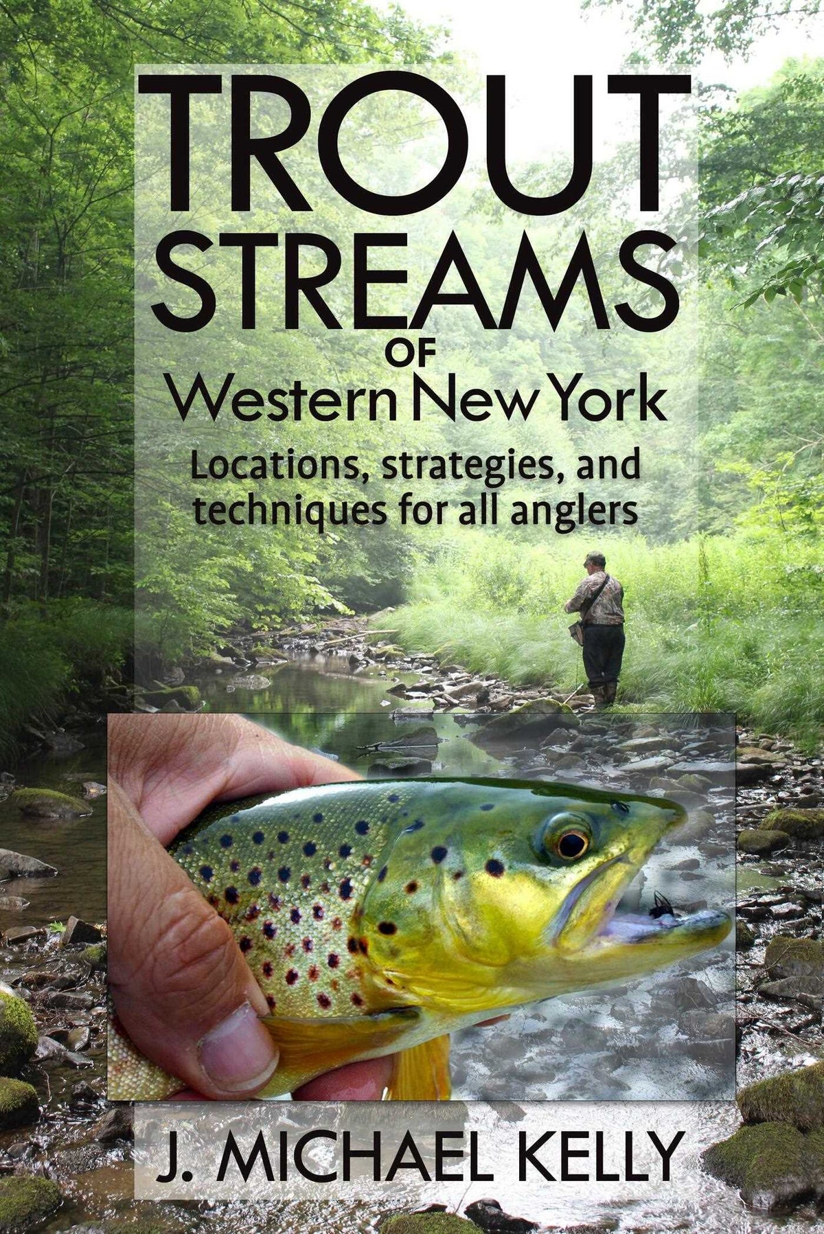 Trout Streams Of Western New York