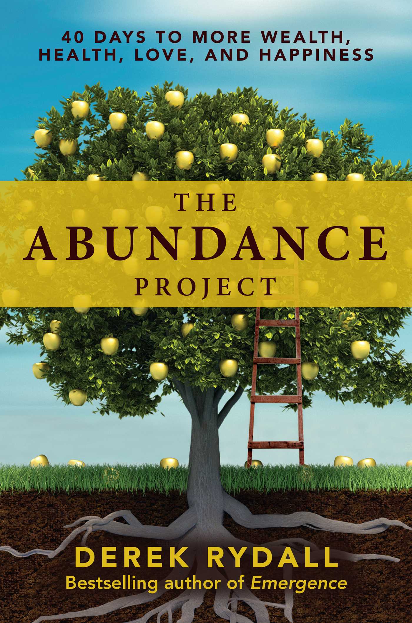 Abundance Project: 40 Days to More Wealth, Health, Love, and Happiness