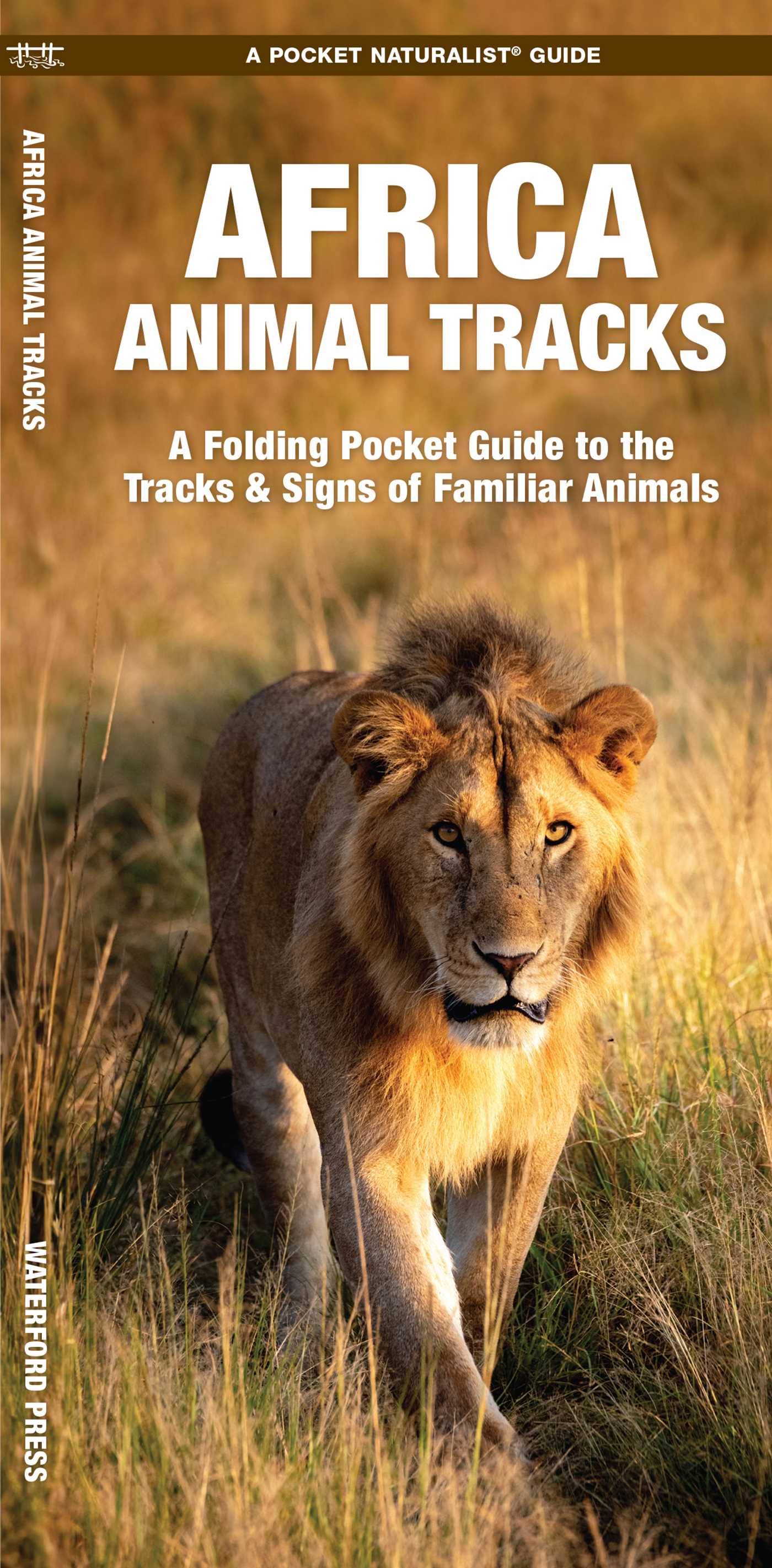 Africa Animal Tracks