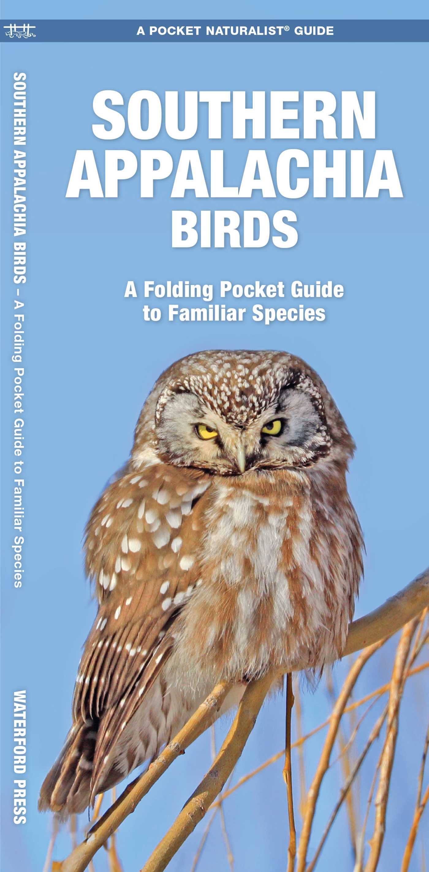 Southern Appalachia Birds