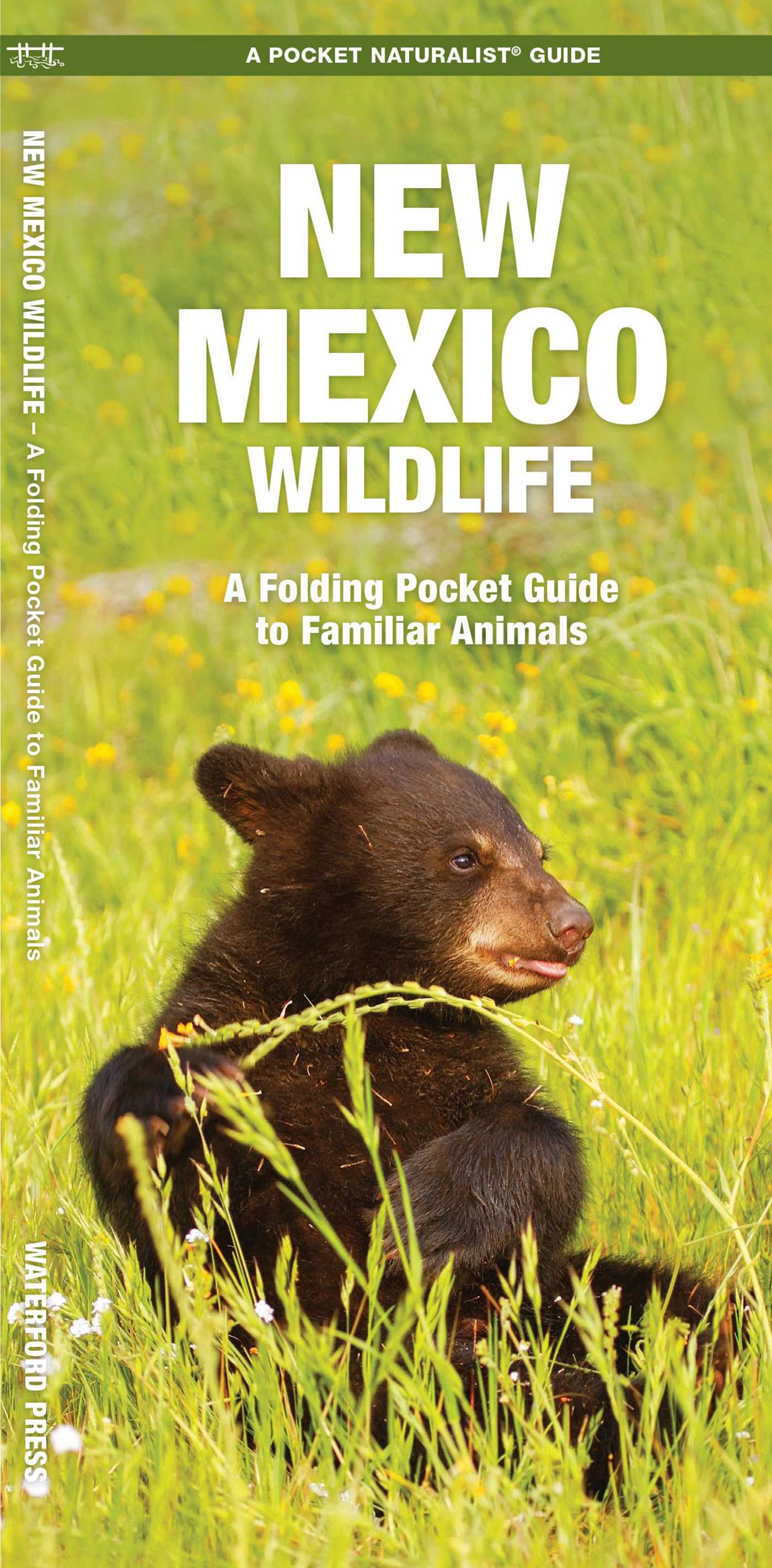 New Mexico Wildlife, 2nd Ed