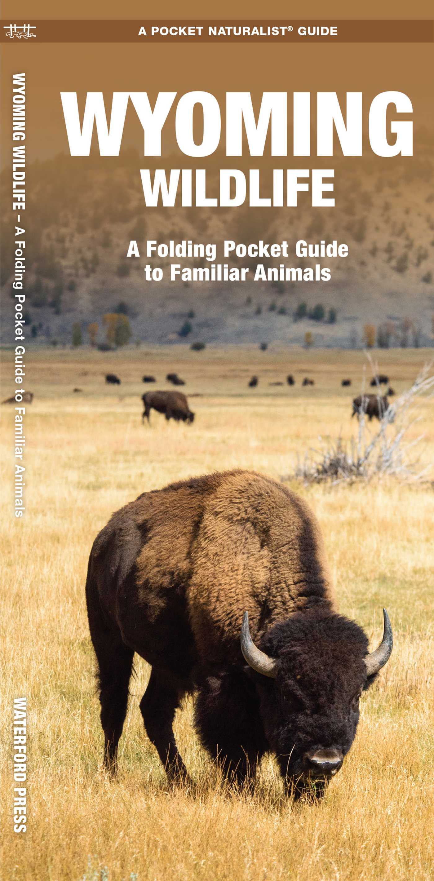 Wyoming Wildlife